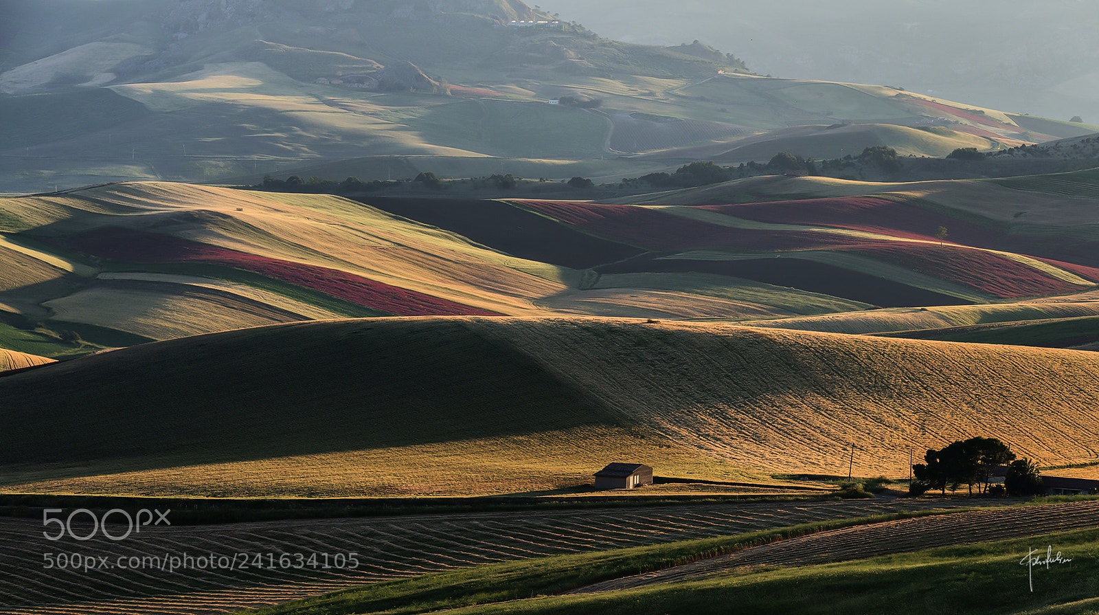 Nikon D800 sample photo. The countryside photography