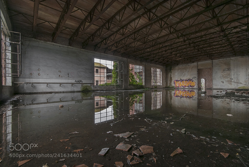 Nikon D300 sample photo. Rivoluzione industriale photography