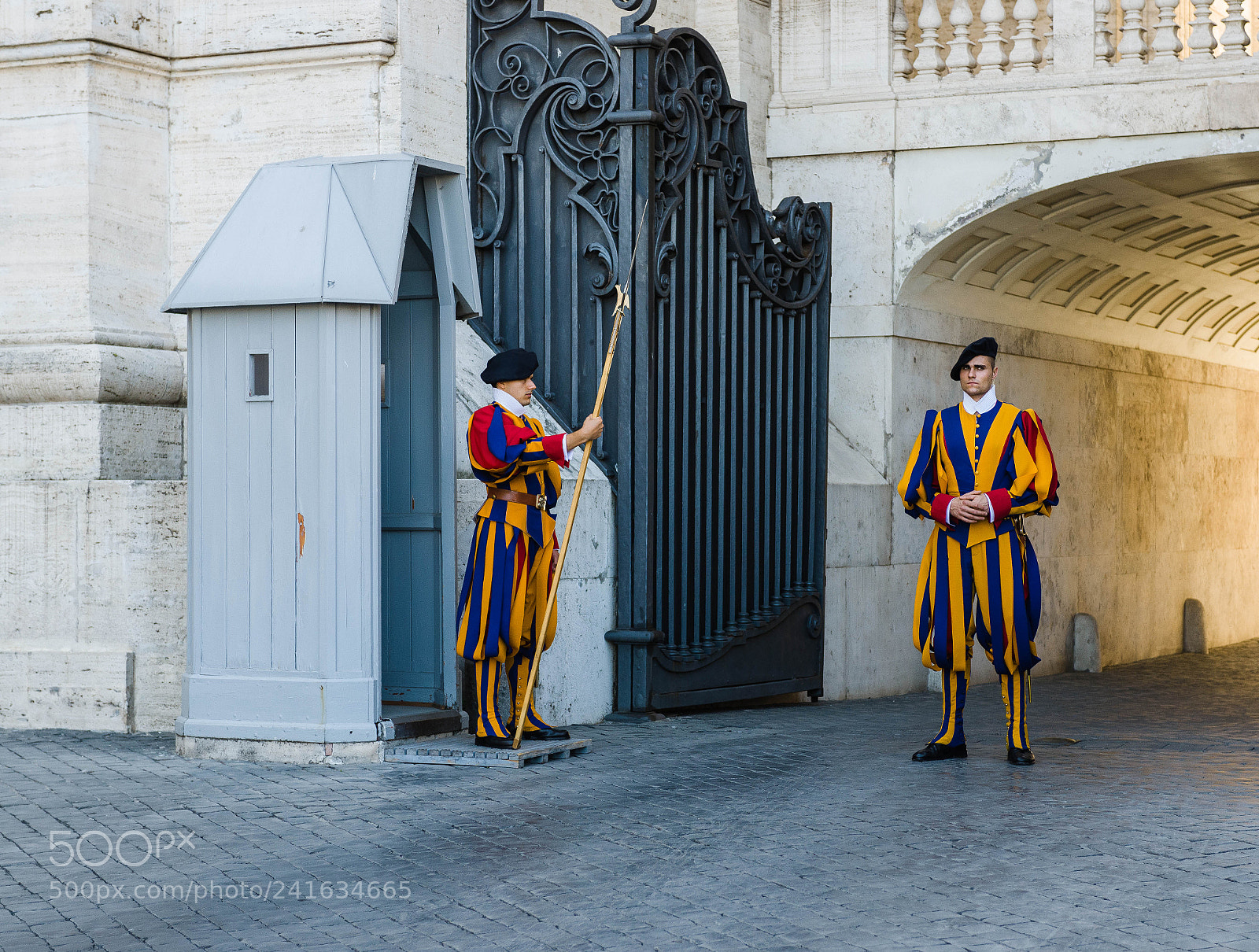 Nikon D600 sample photo. Swiss guard photography