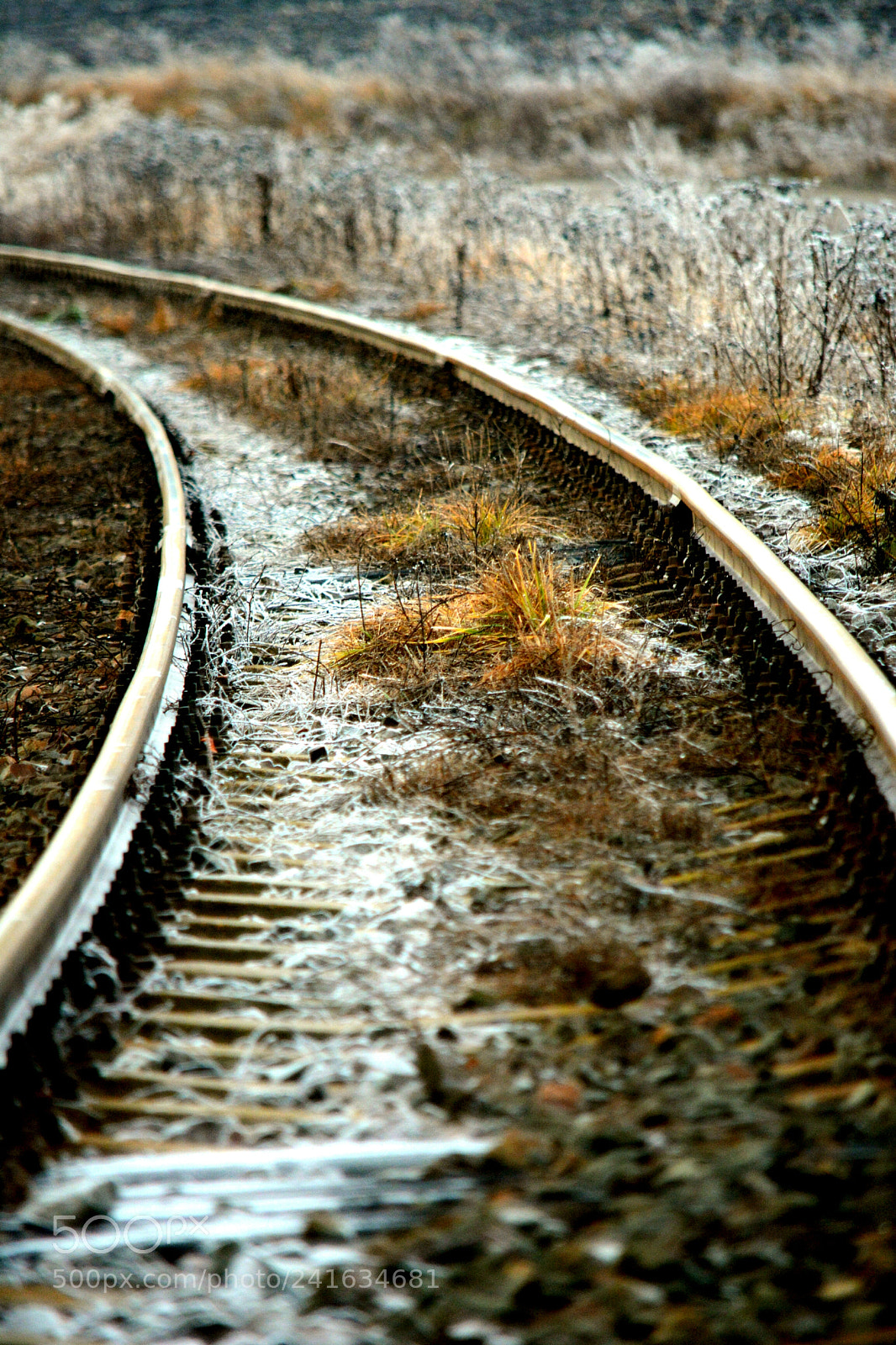 Nikon D7100 sample photo. Winter road photography