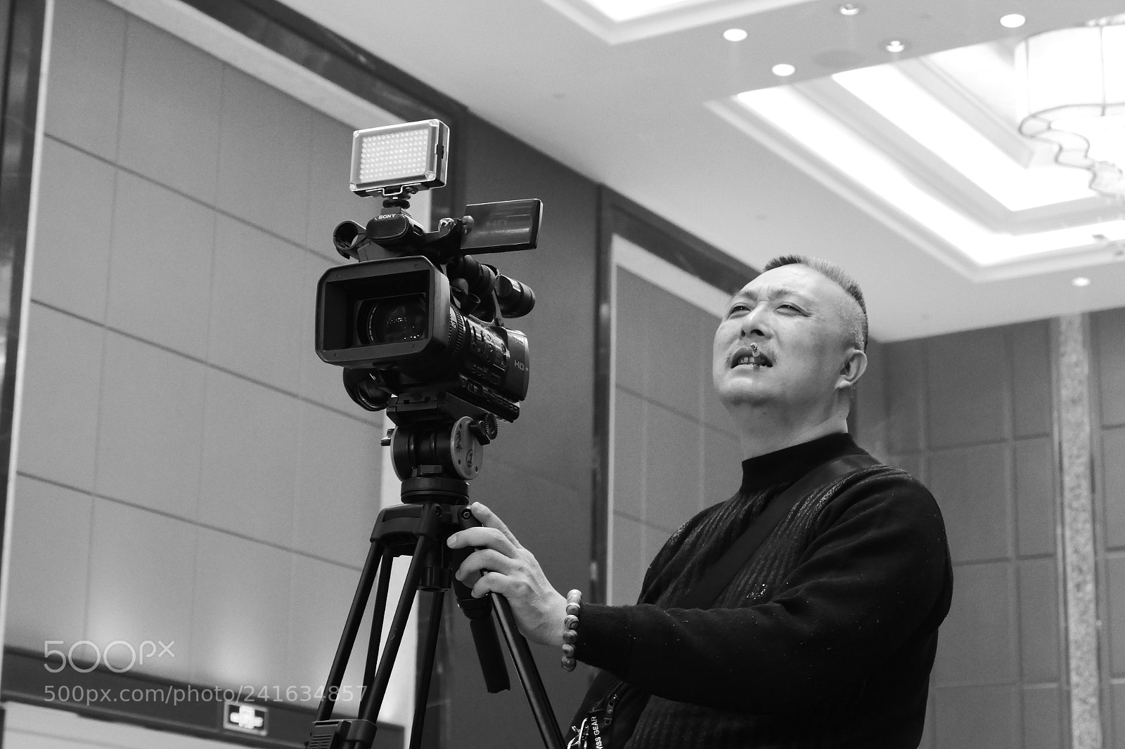 Leica V-Lux (Typ 114) sample photo. Professional ? photography