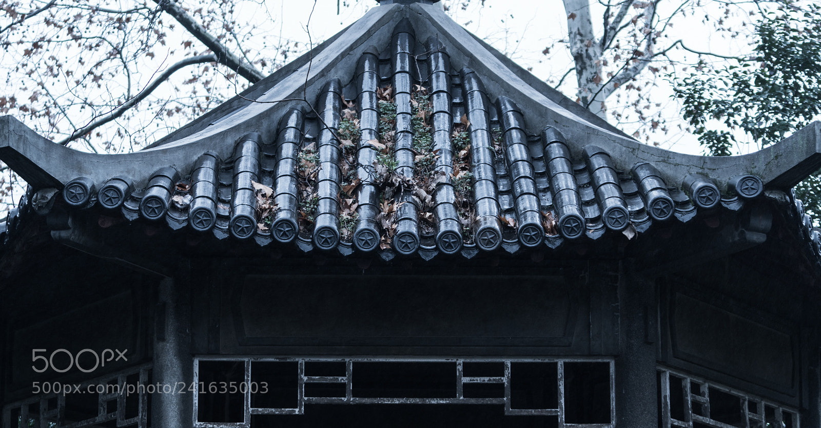 Sony a6500 sample photo. Shanghai zoo photography