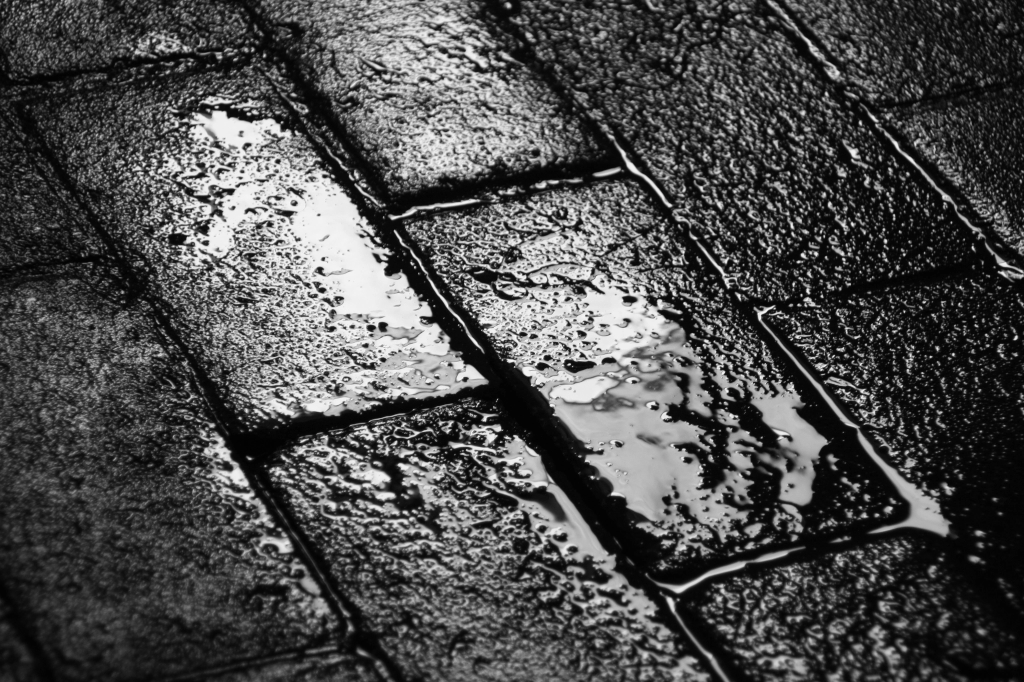 Canon EOS 450D (EOS Rebel XSi / EOS Kiss X2) sample photo. Negro y agua photography