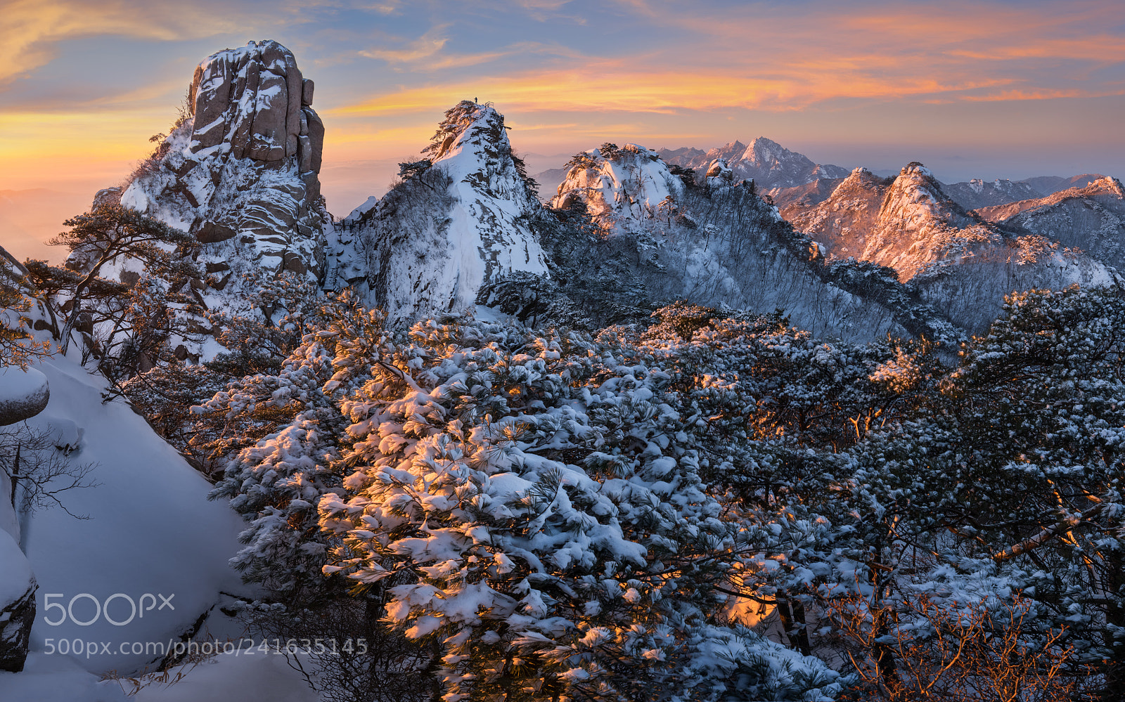 Nikon D810 sample photo. The white peaks photography