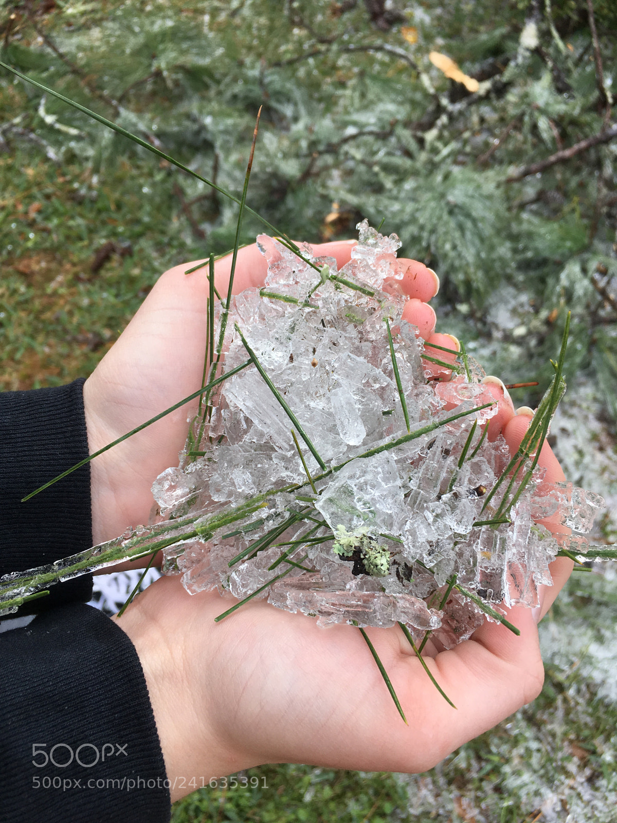Apple iPhone SE sample photo. Ice heart photography