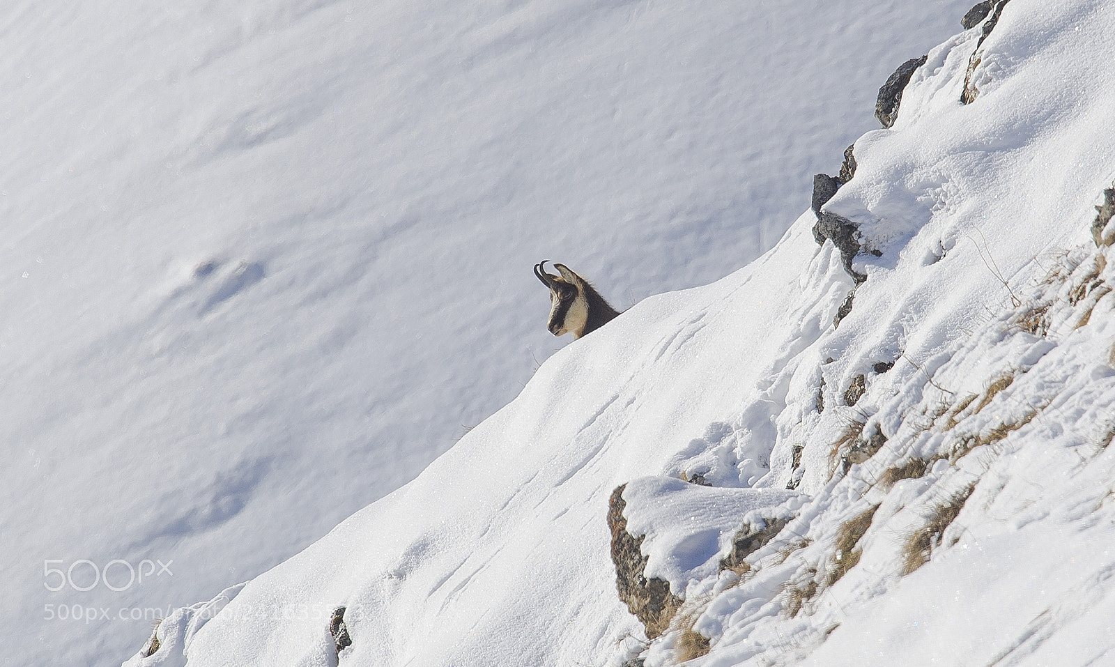 Nikon D3S sample photo. Normal places for extraordinary photography