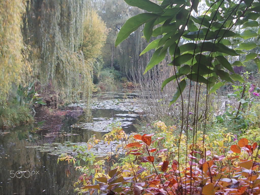 Nikon COOLPIX L23 sample photo. Au jardin de monet photography