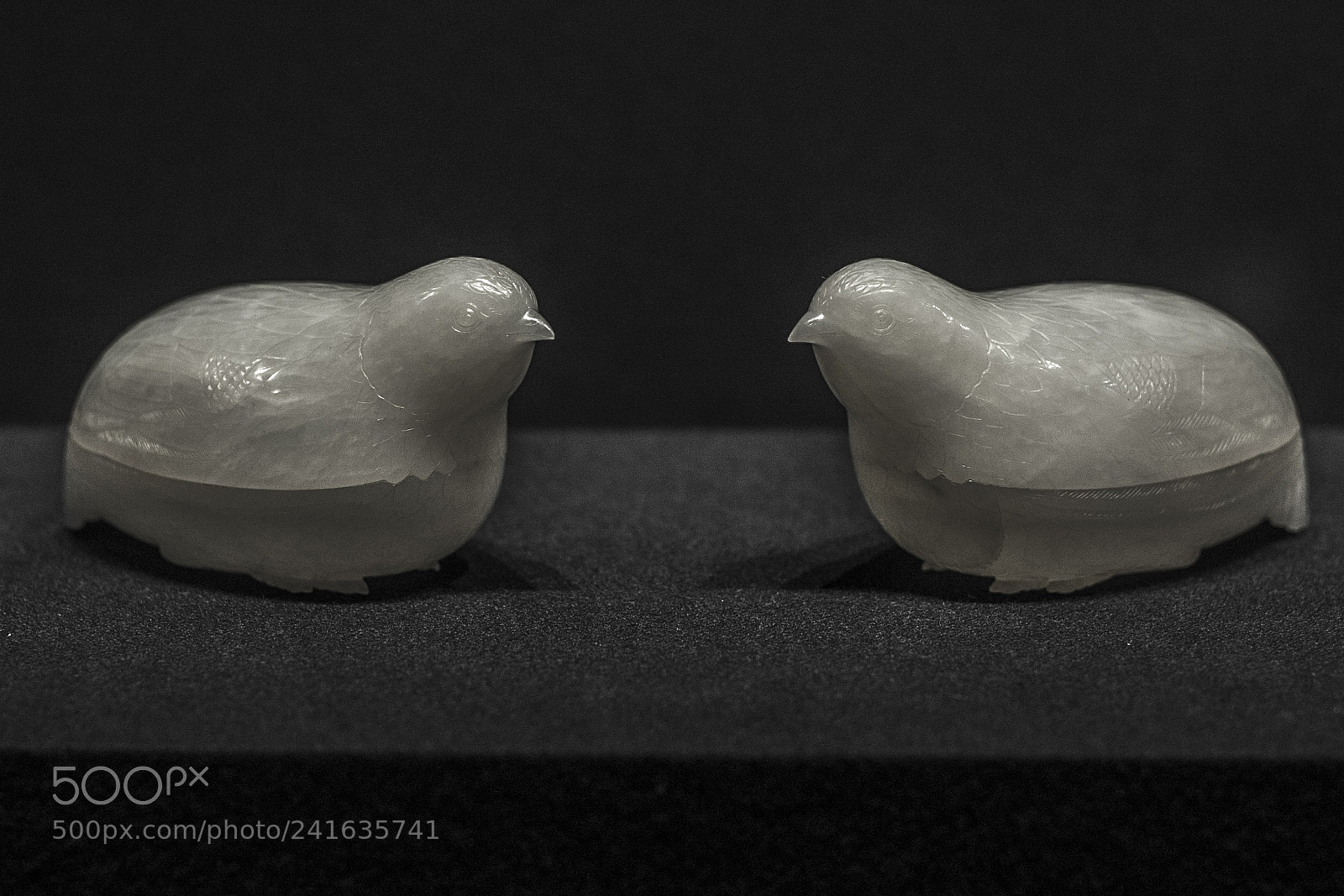 Nikon D700 sample photo. Lovebirds photography