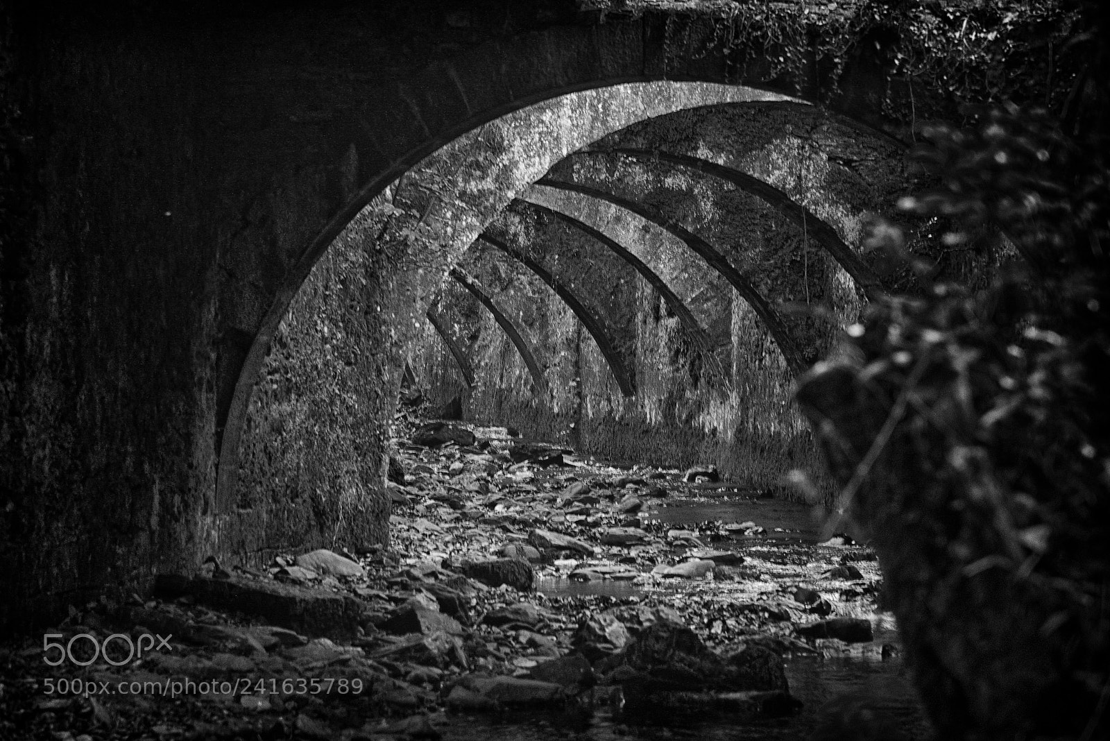 Nikon D800 sample photo. F brica de armas photography