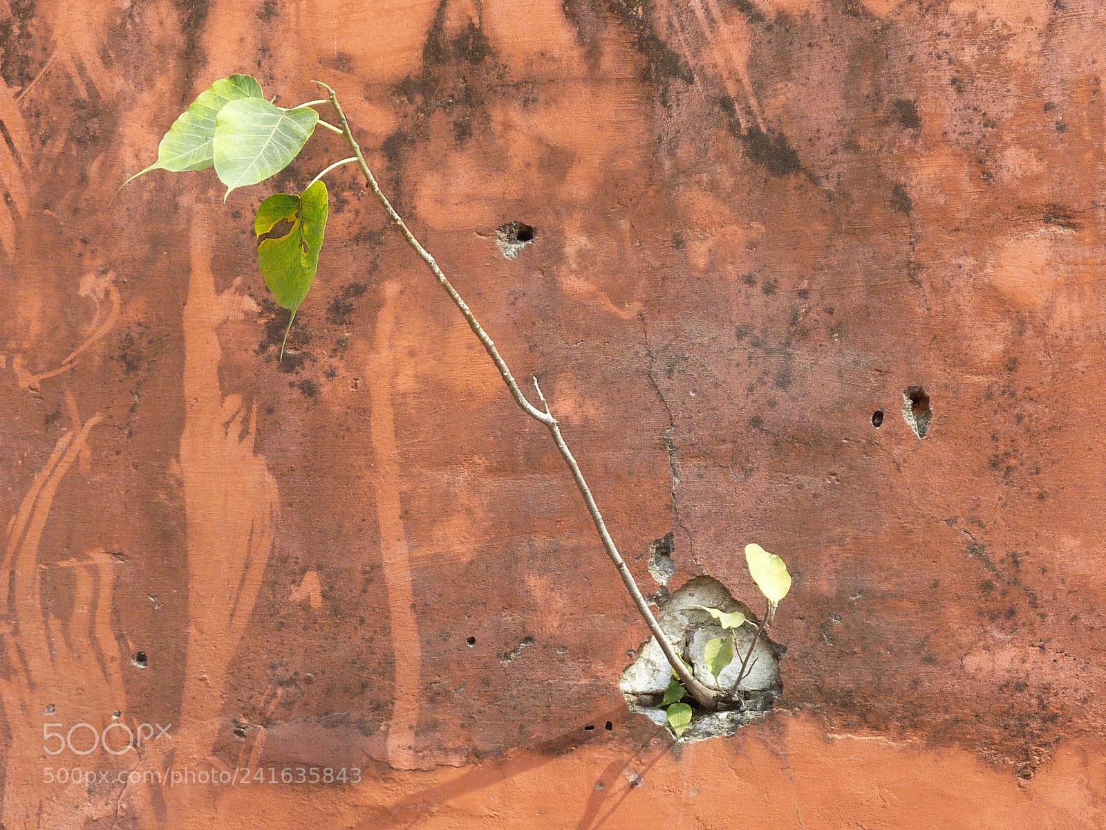 Panasonic DMC-TZ7 sample photo. Untitled photography