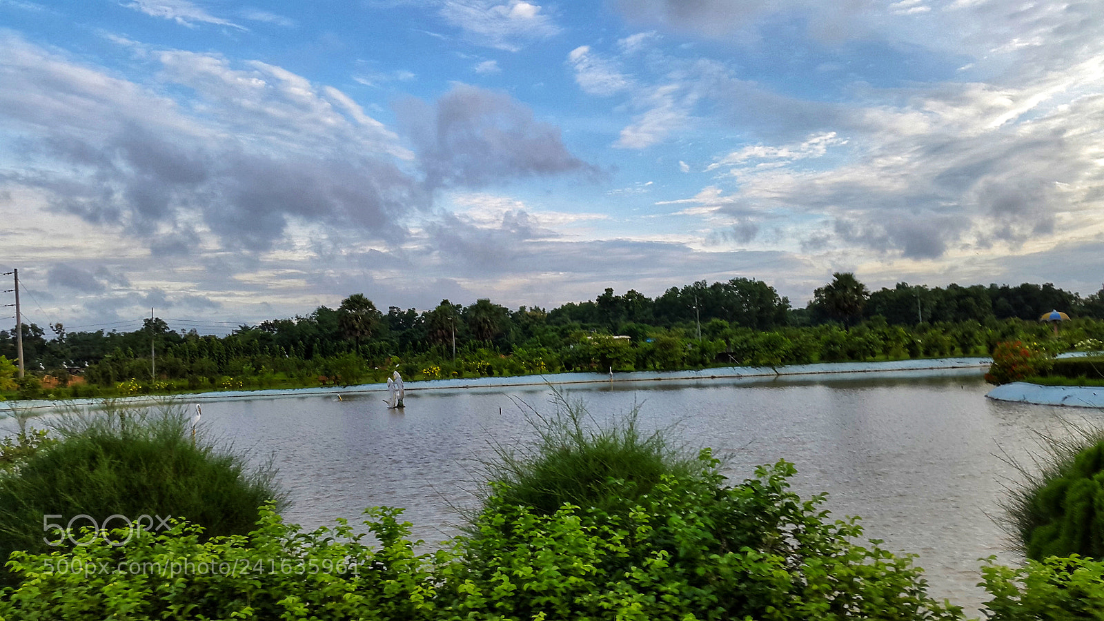 Samsung Galaxy S5 sample photo. Untitled photography