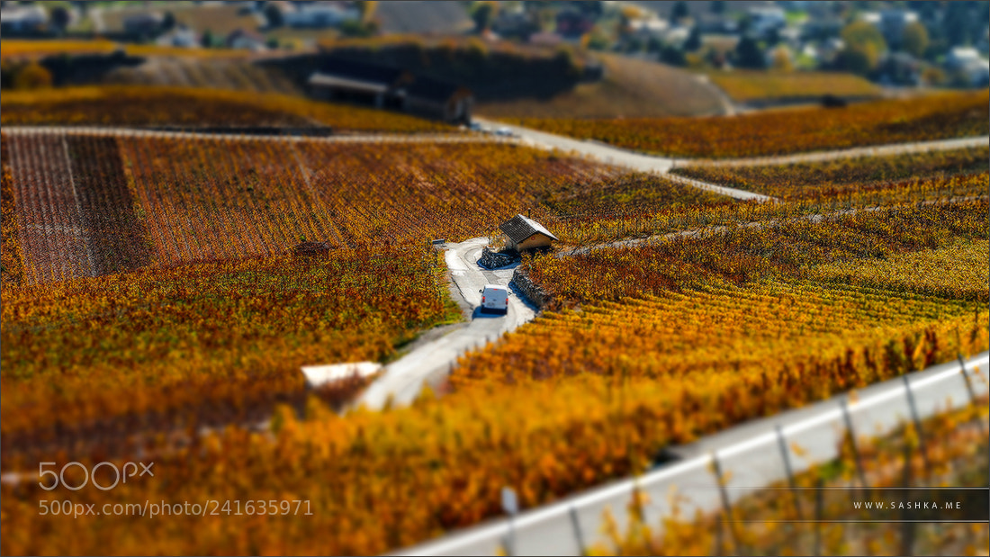 Sony a99 II sample photo. Tilt-shift aerial view of photography