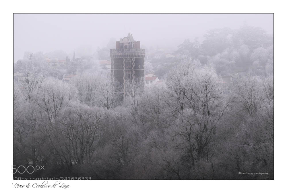 Nikon D5500 sample photo. Un petit coup de photography