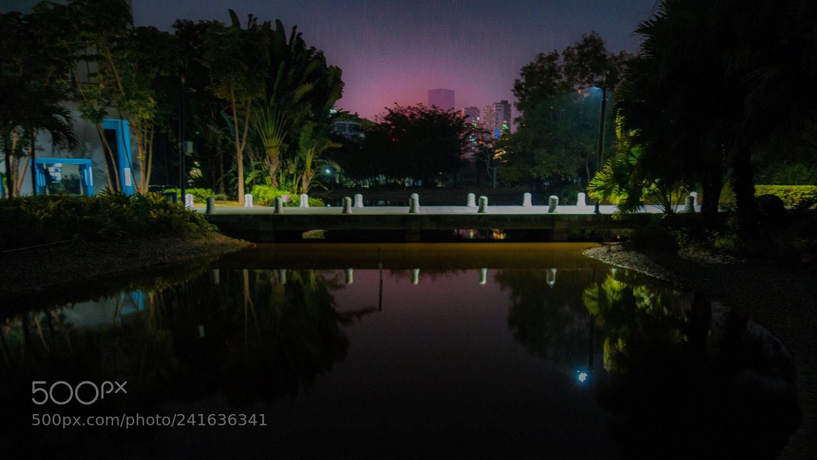 Sony Cyber-shot DSC-RX100 III sample photo. Dream night photography