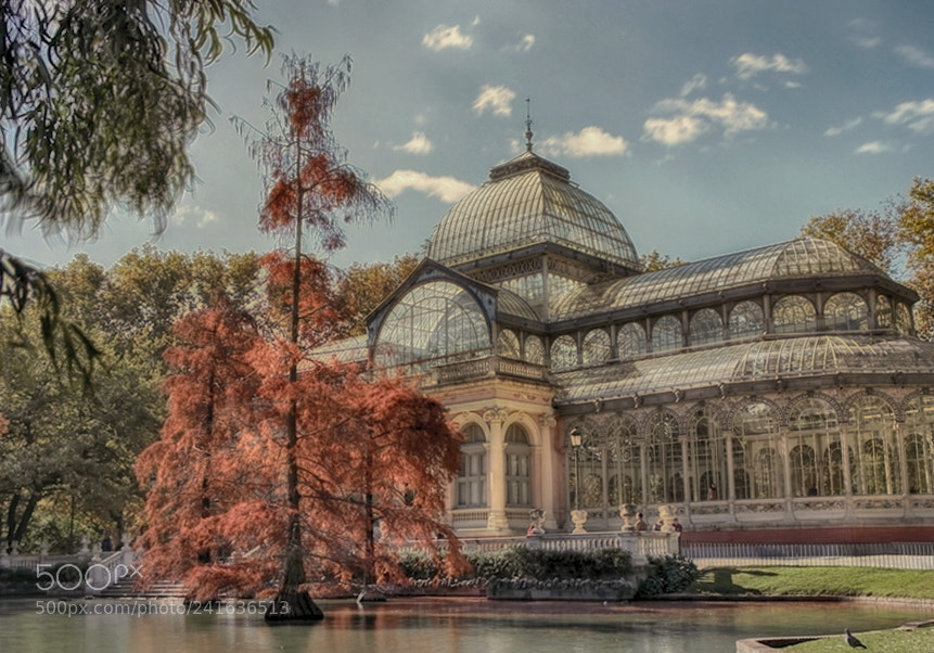 Samsung NX1000 sample photo. Palacio de cristal (mad) photography