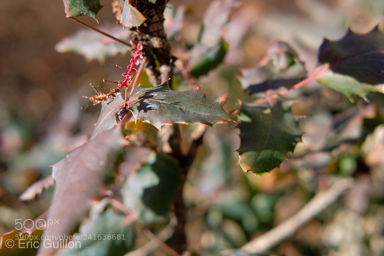 Fujifilm X-T2 sample photo. Untitled photography