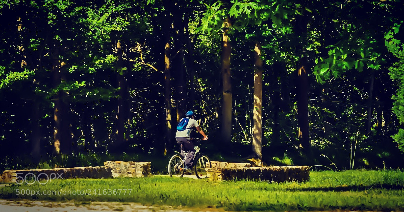 Nikon D90 sample photo. Green photography