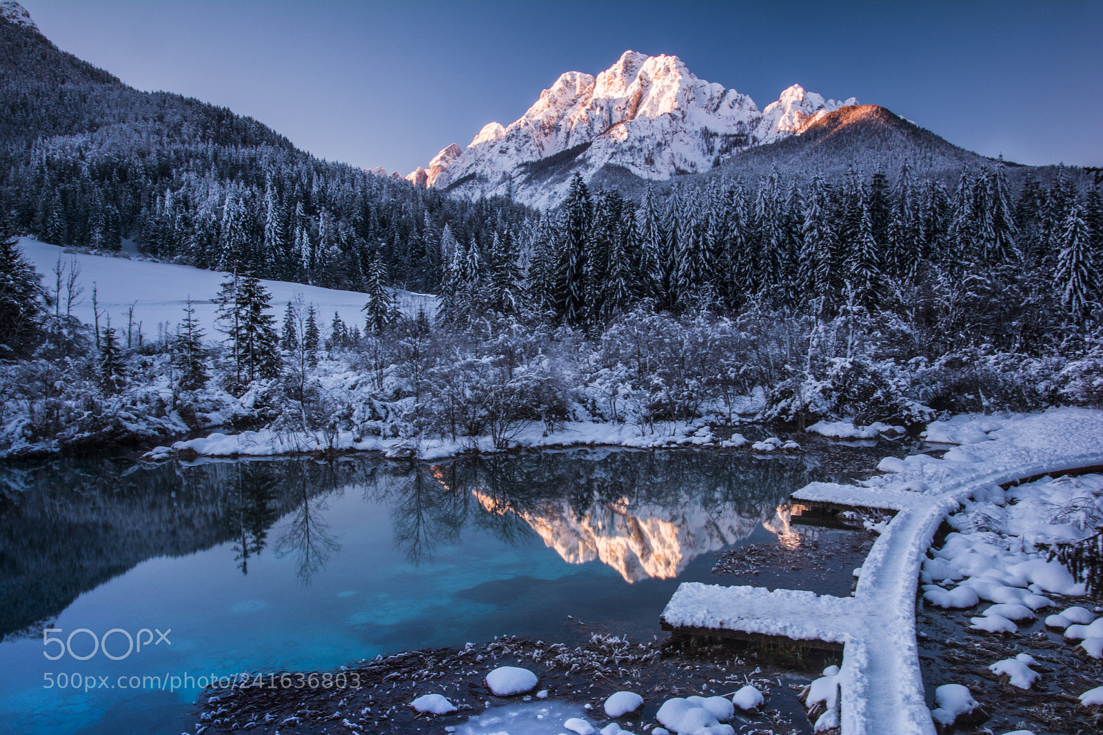Nikon D7100 sample photo. The springs of zelenci photography