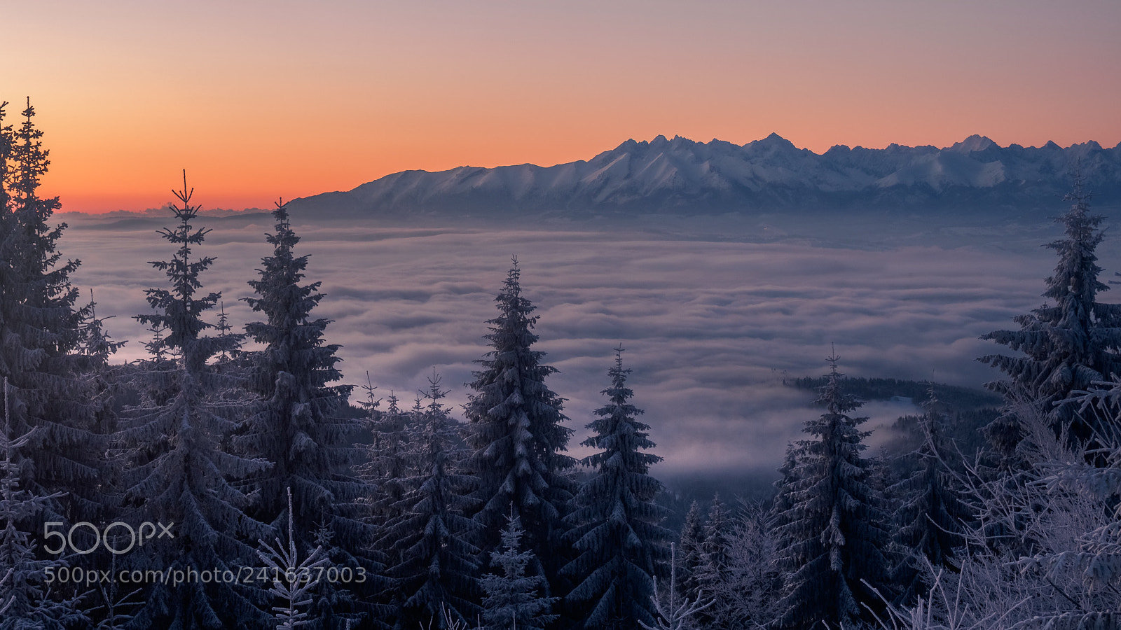 Olympus PEN E-PL6 sample photo. Turbacz,view ontatras mountains photography