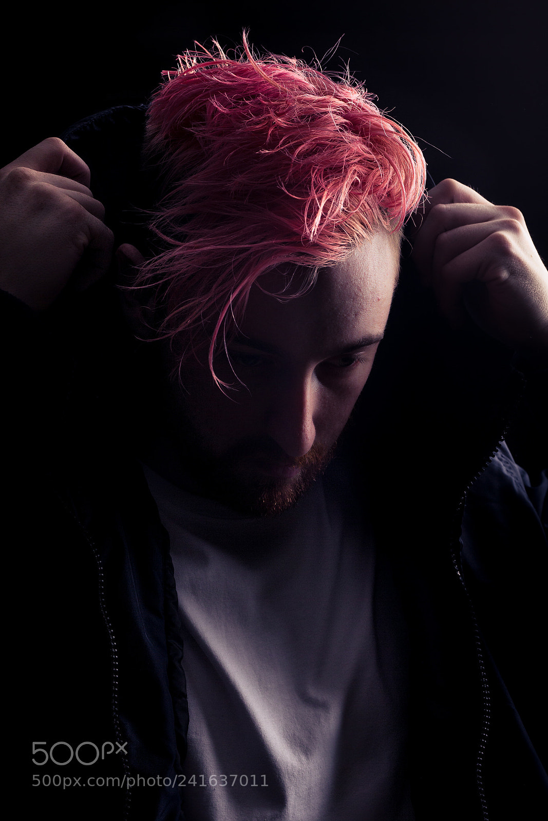 Canon EOS-1D X sample photo. Dj dollar bear photography