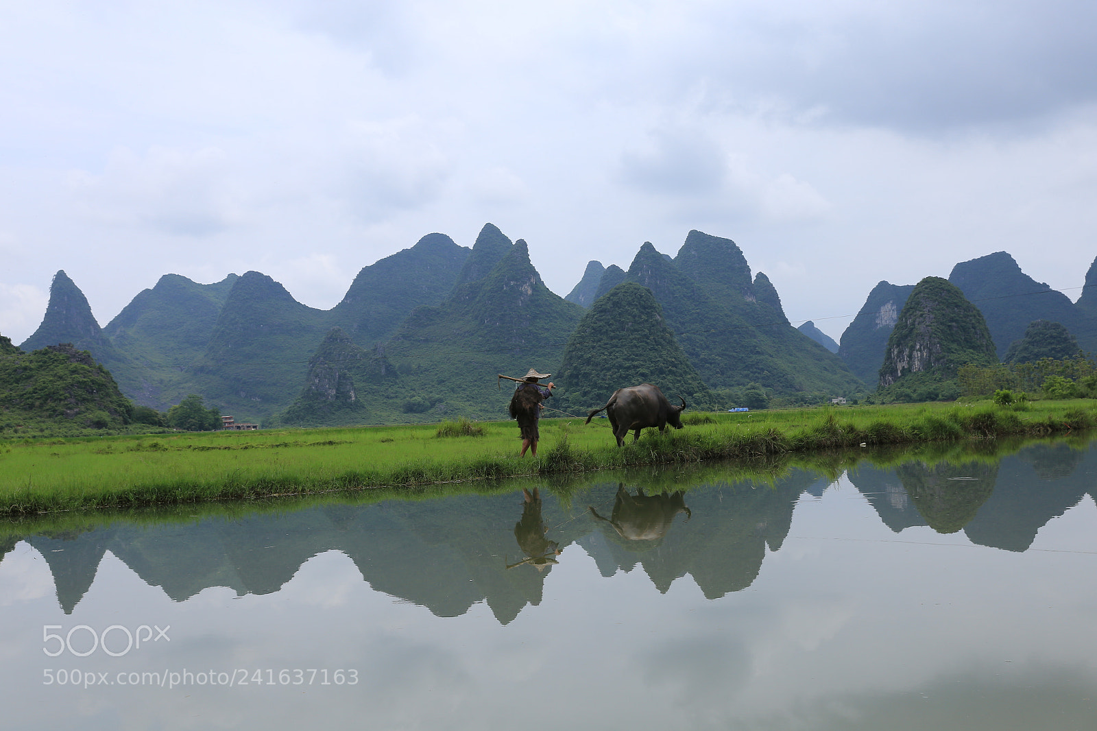 Canon EF 24-70mm F2.8L II USM sample photo. Peaceful rural scenery photography