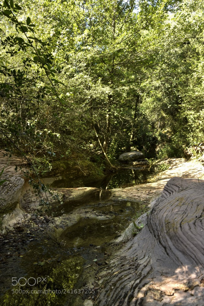 Nikon D7200 sample photo. Arroyo photography