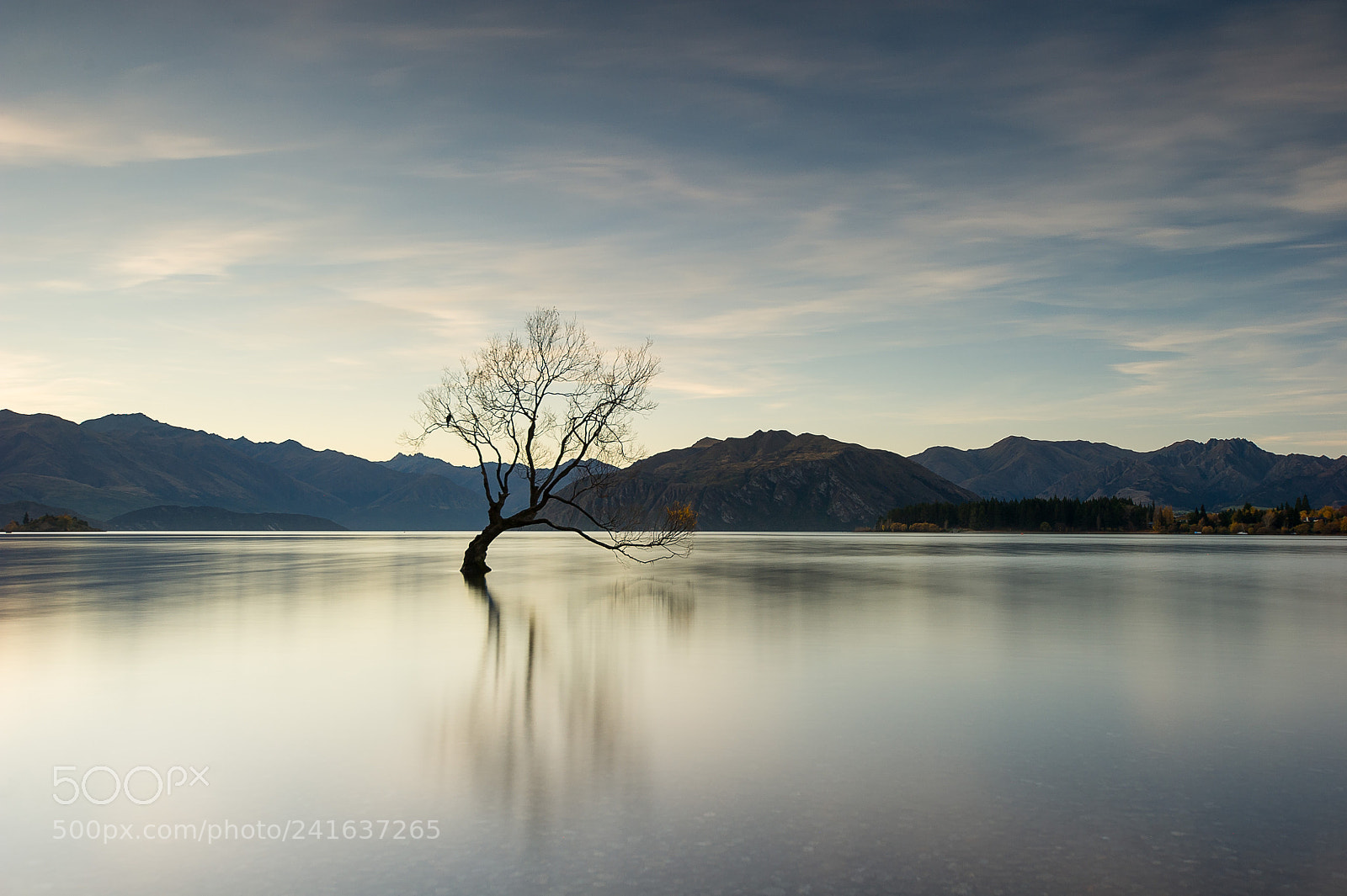 Nikon D3S sample photo. Lake wanaka photography