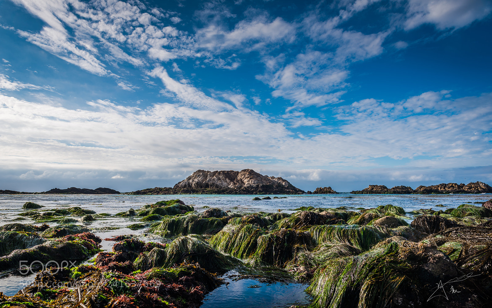 Nikon D810 sample photo. 17 mile drive photography