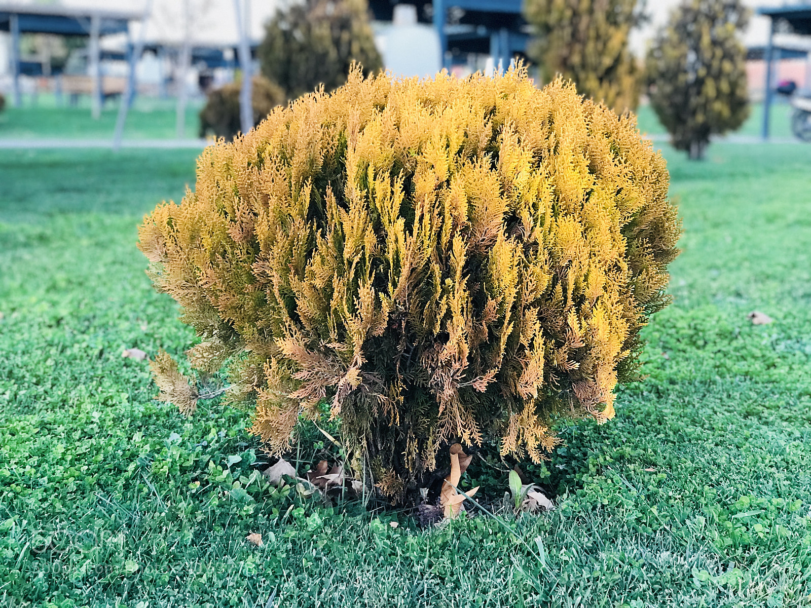 Apple iPhone 7 Plus sample photo. Untitled photography
