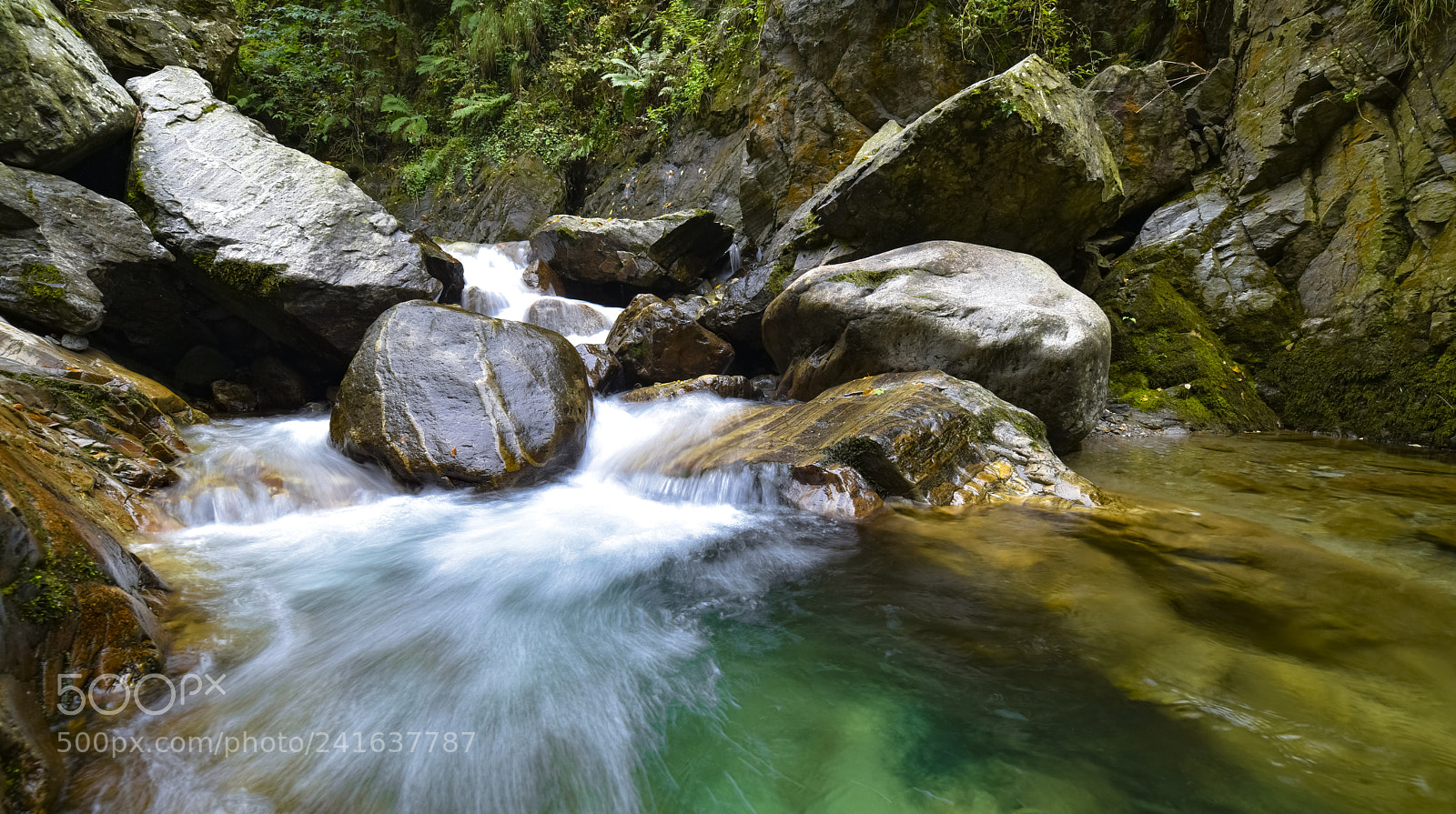 Nikon D810 sample photo. Fall photography