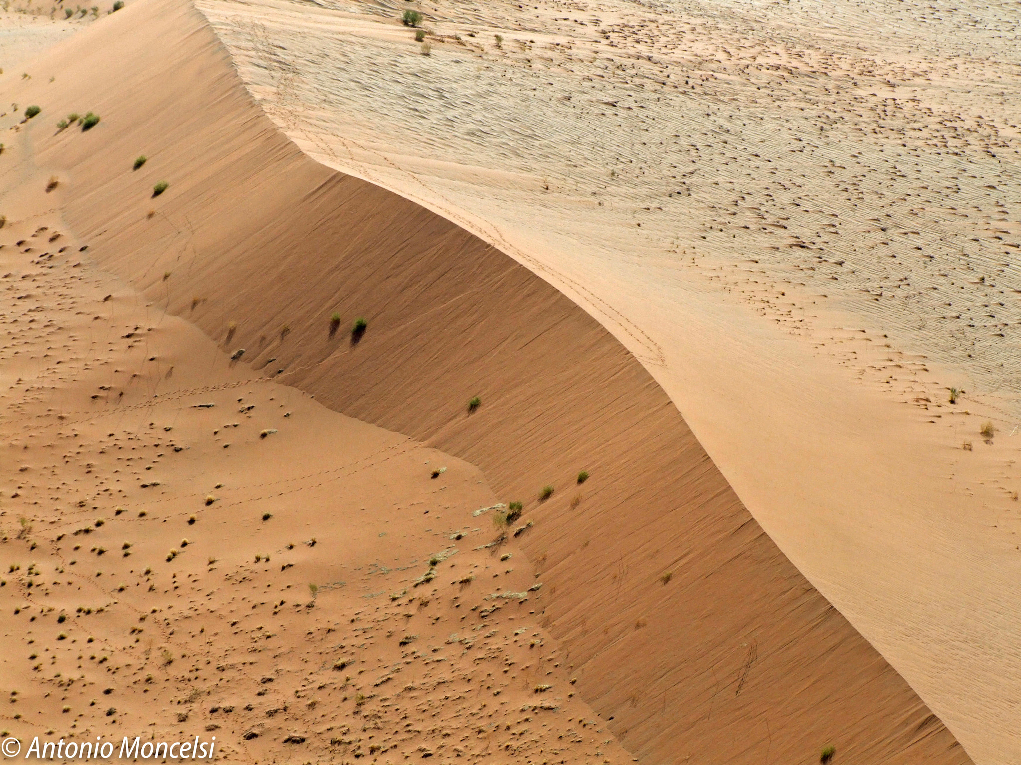 Fujifilm FinePix S9500 sample photo. Deserto del namib photography