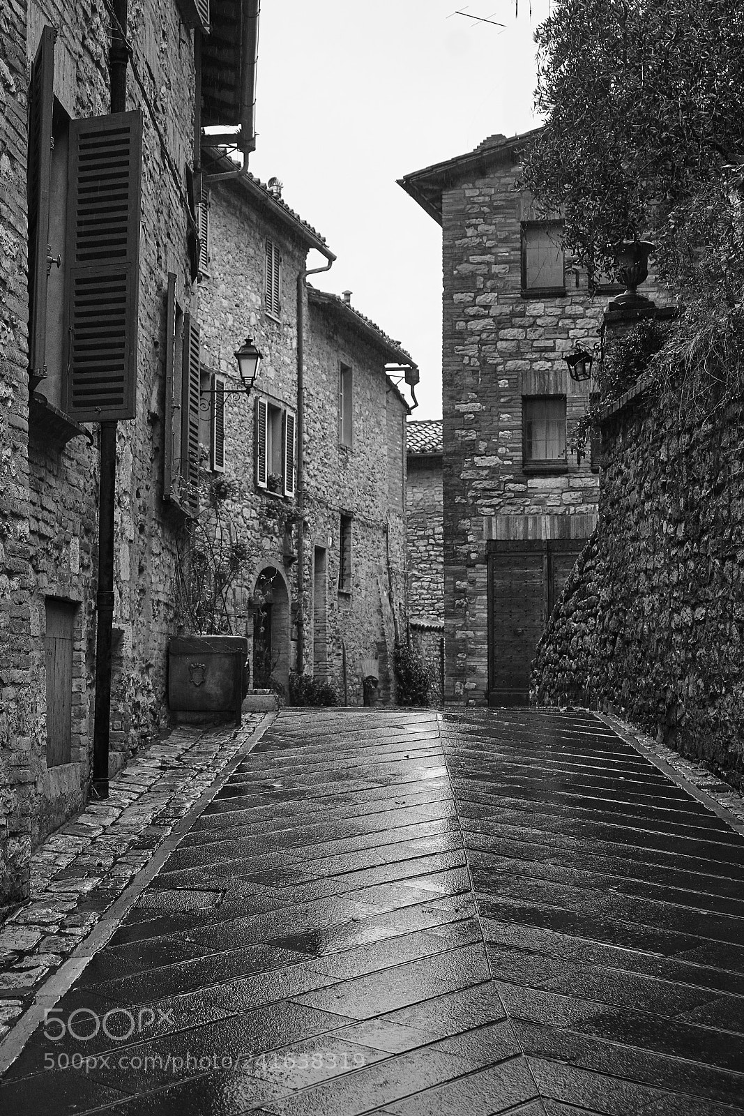 Fujifilm X-Pro2 sample photo. Borghi photography