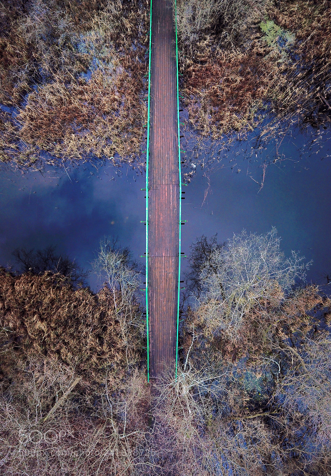 DJI FC220 sample photo. Wood bridge path on photography