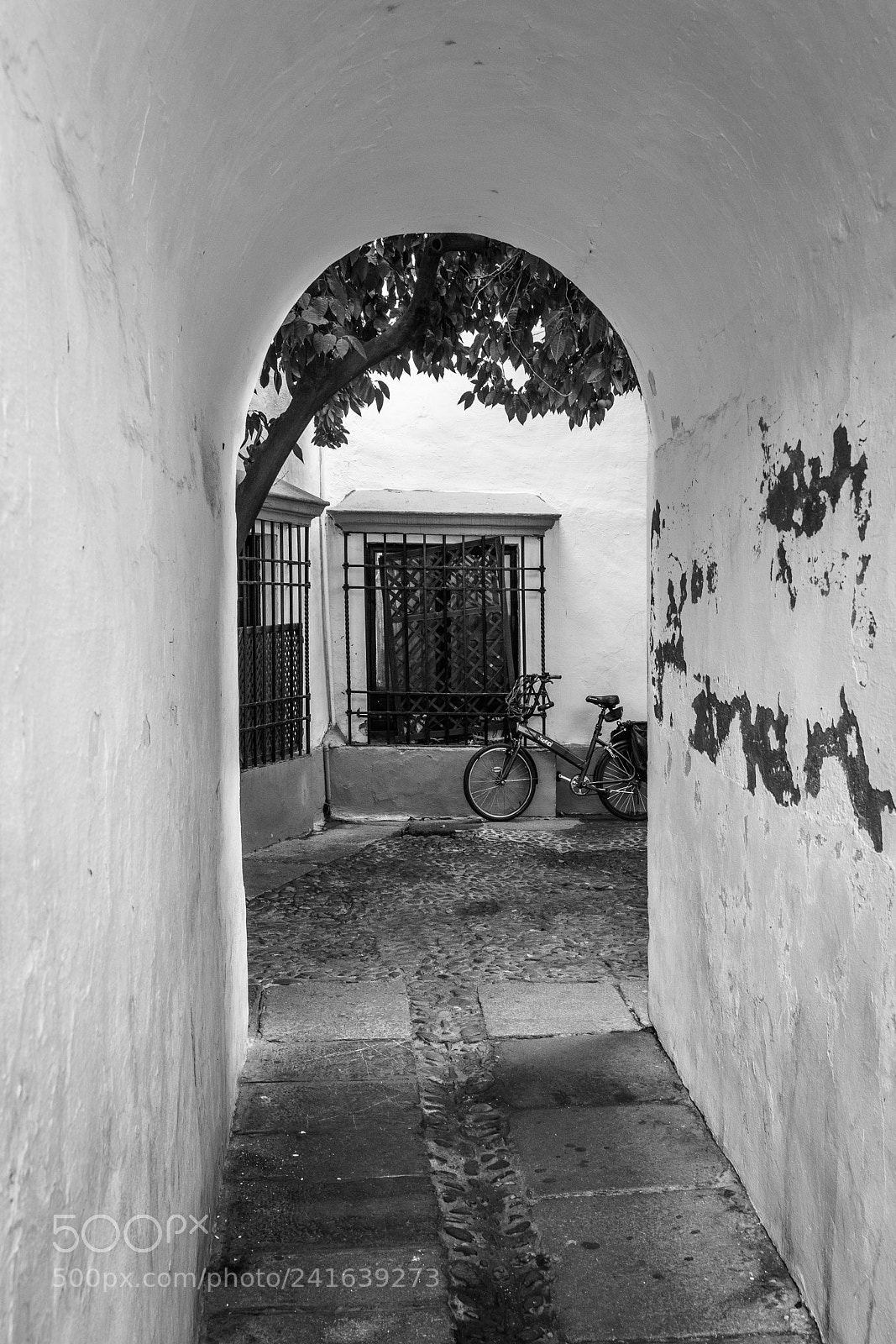 Sony a7 II sample photo. Calleja de córdoba photography