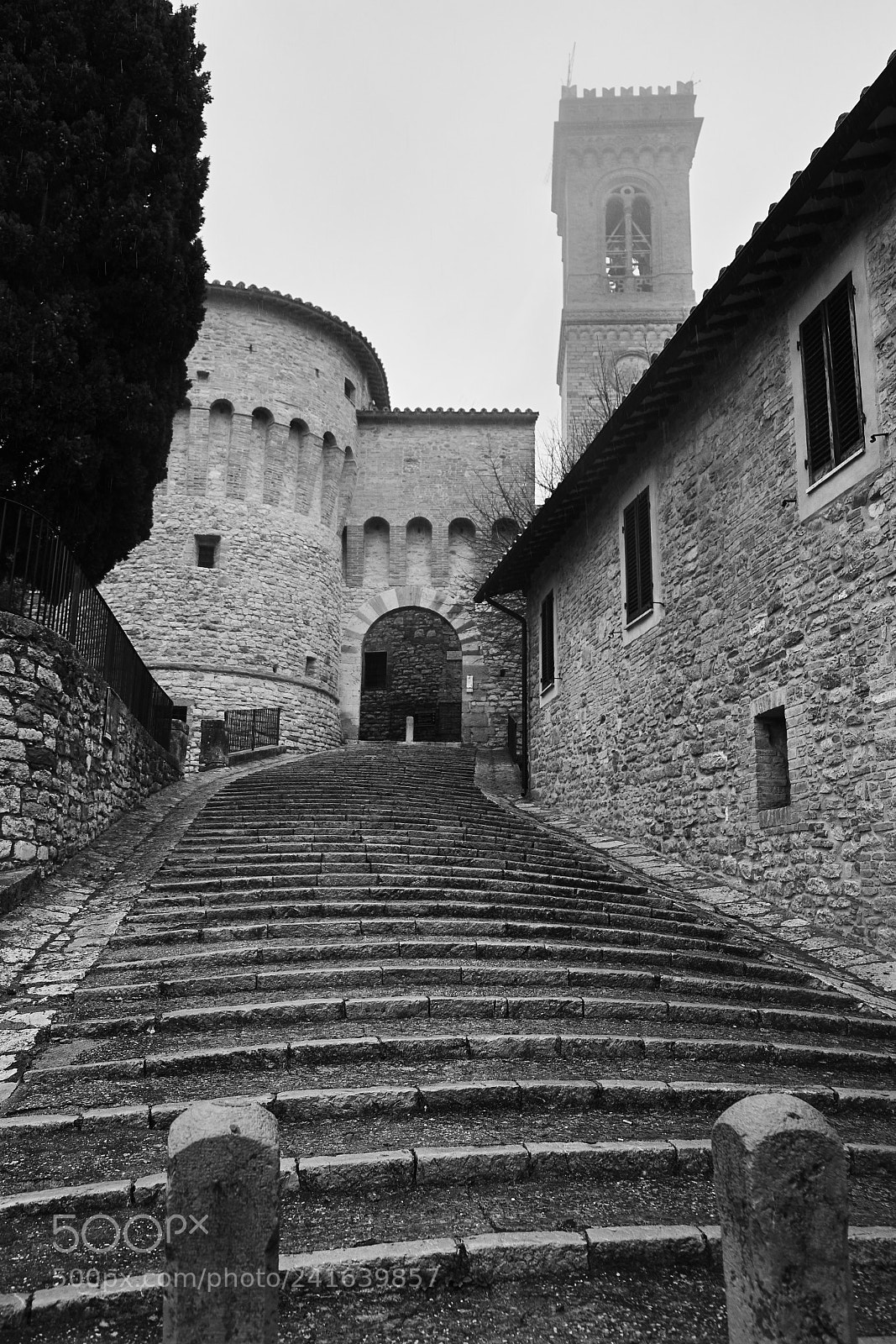 Fujifilm X-Pro2 sample photo. Borghi photography