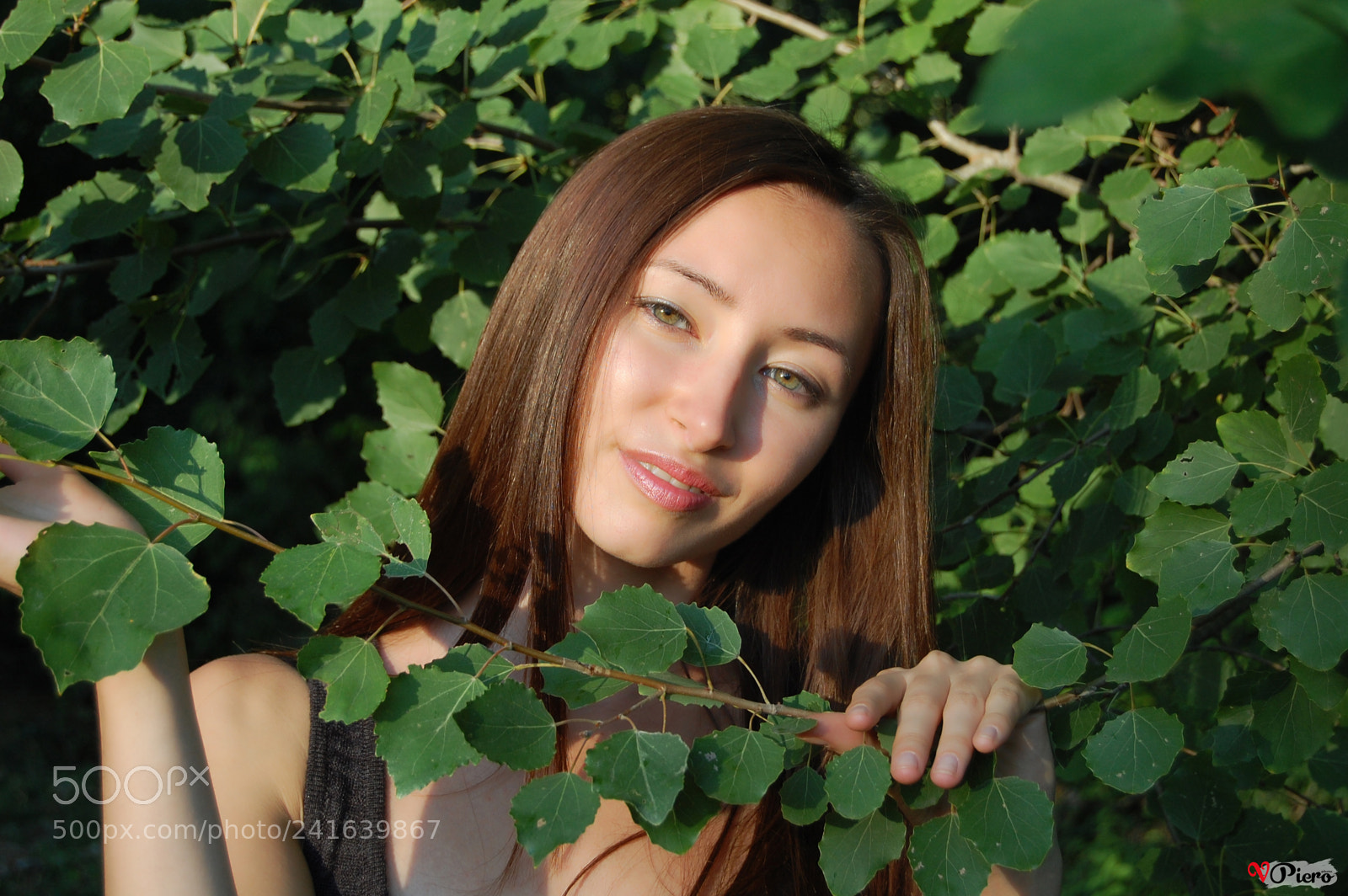 Nikon D40 sample photo. Dsc () photography