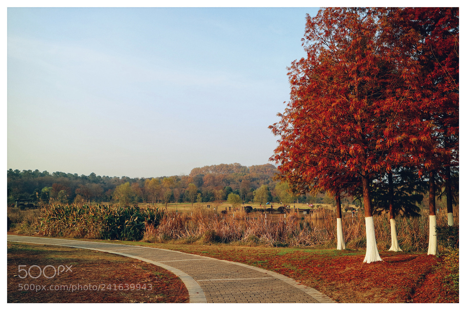 Canon EOS M3 sample photo. Autumn 2 photography
