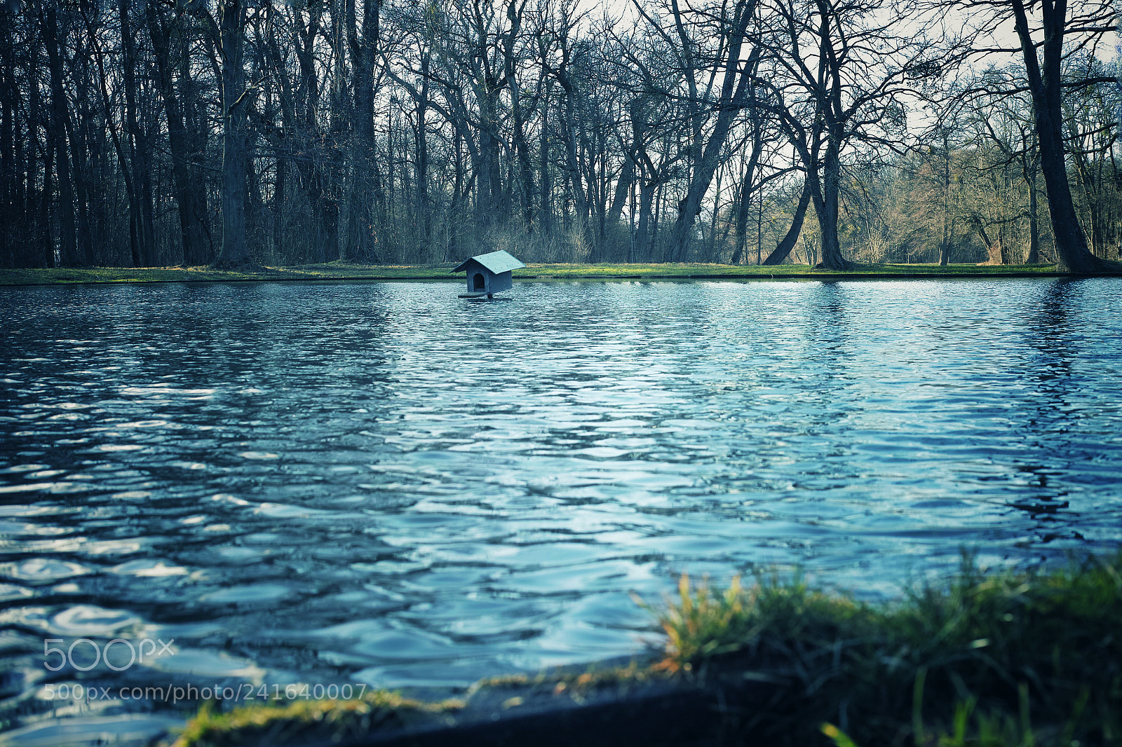 Sigma DP2 Merrill sample photo. Entenhausen, laxenburg, austria photography
