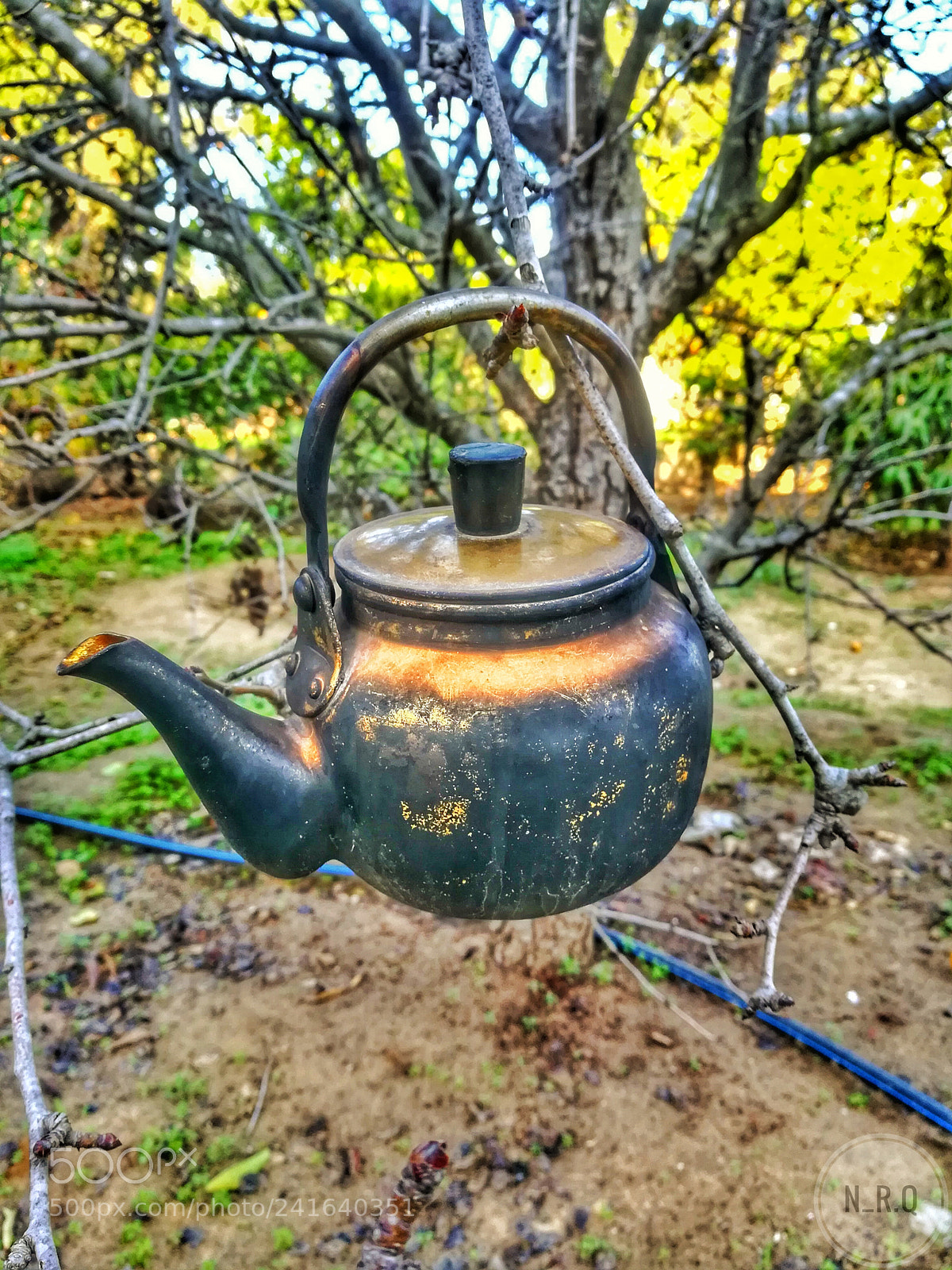 HUAWEI GR5 2017 sample photo. Untitled photography