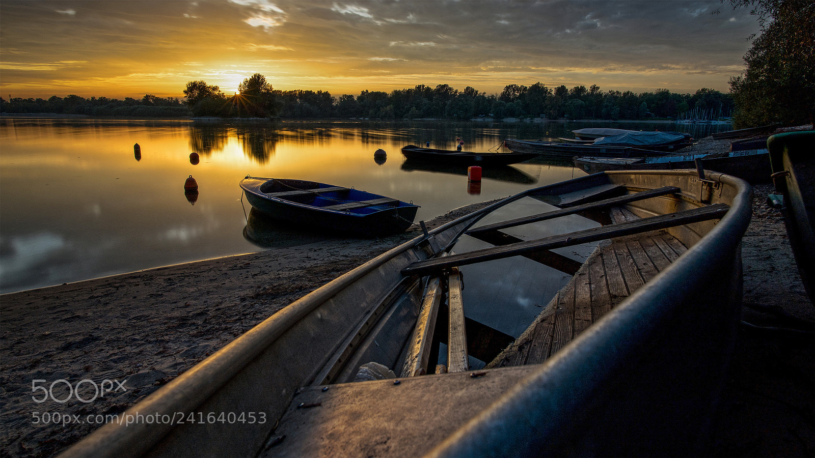 Sony a7 II sample photo. Am see photography