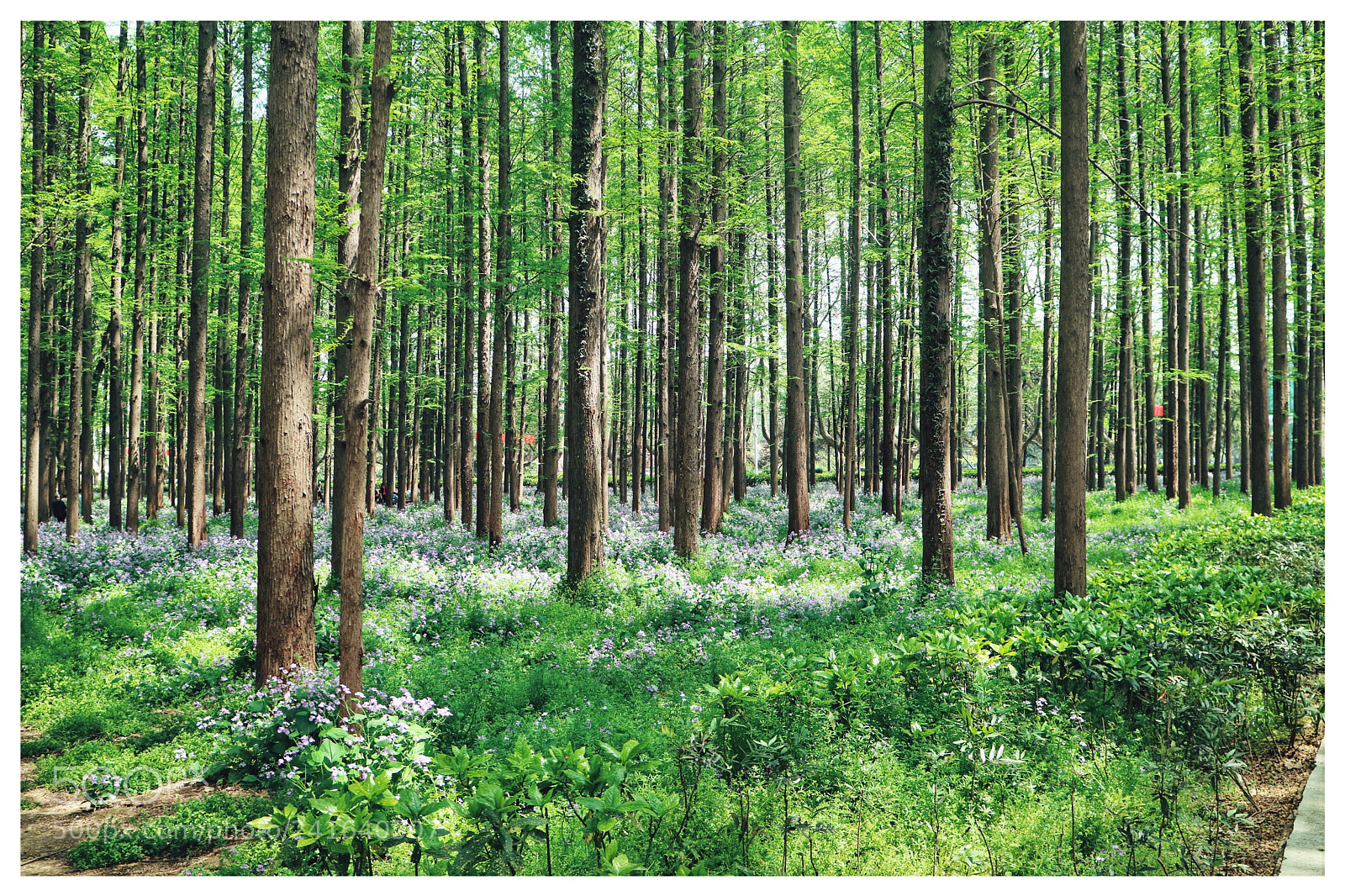 Canon EOS M3 sample photo. Spring photography