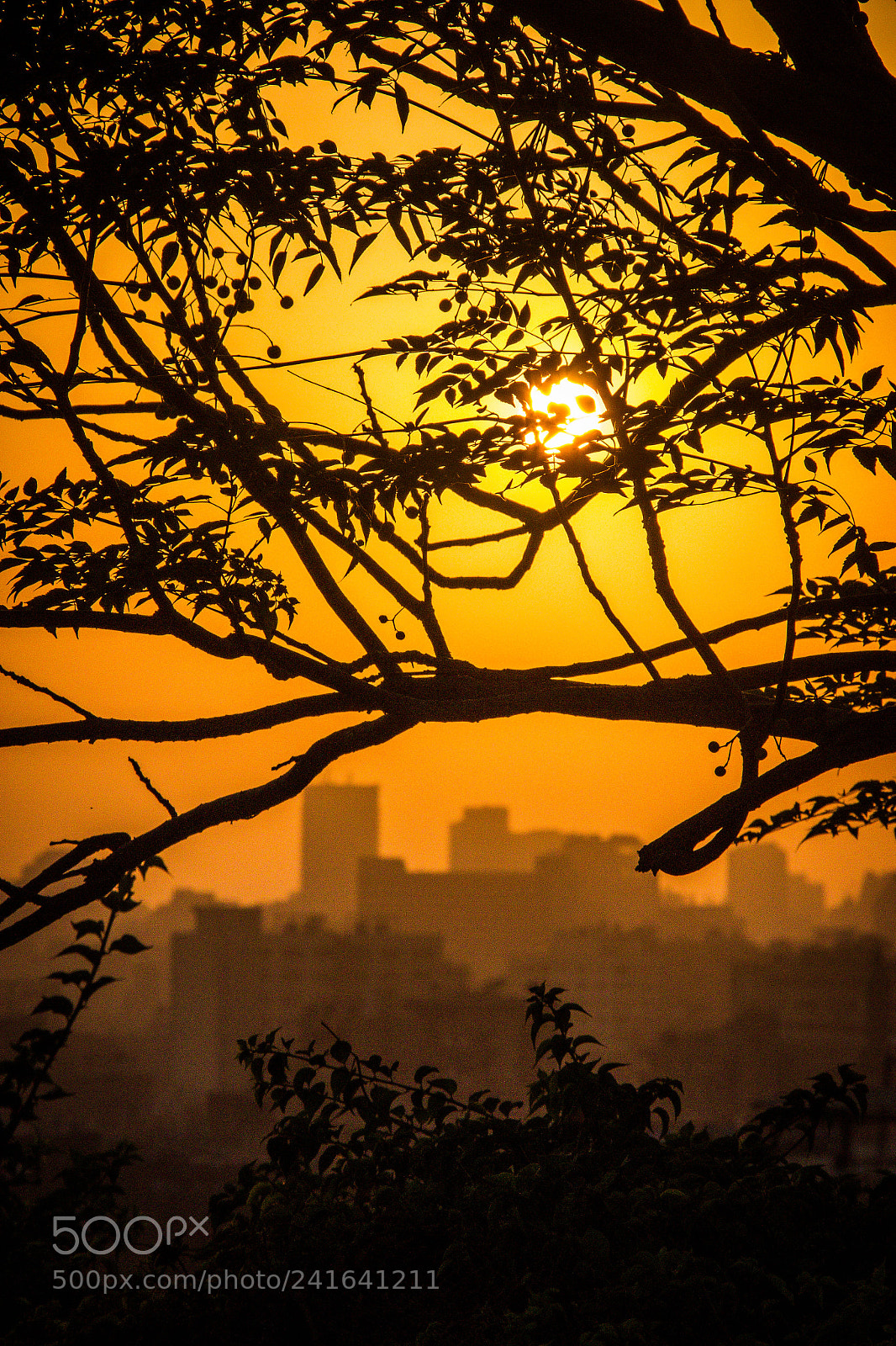 Canon EOS 550D (EOS Rebel T2i / EOS Kiss X4) sample photo. Sunset over cairo photography