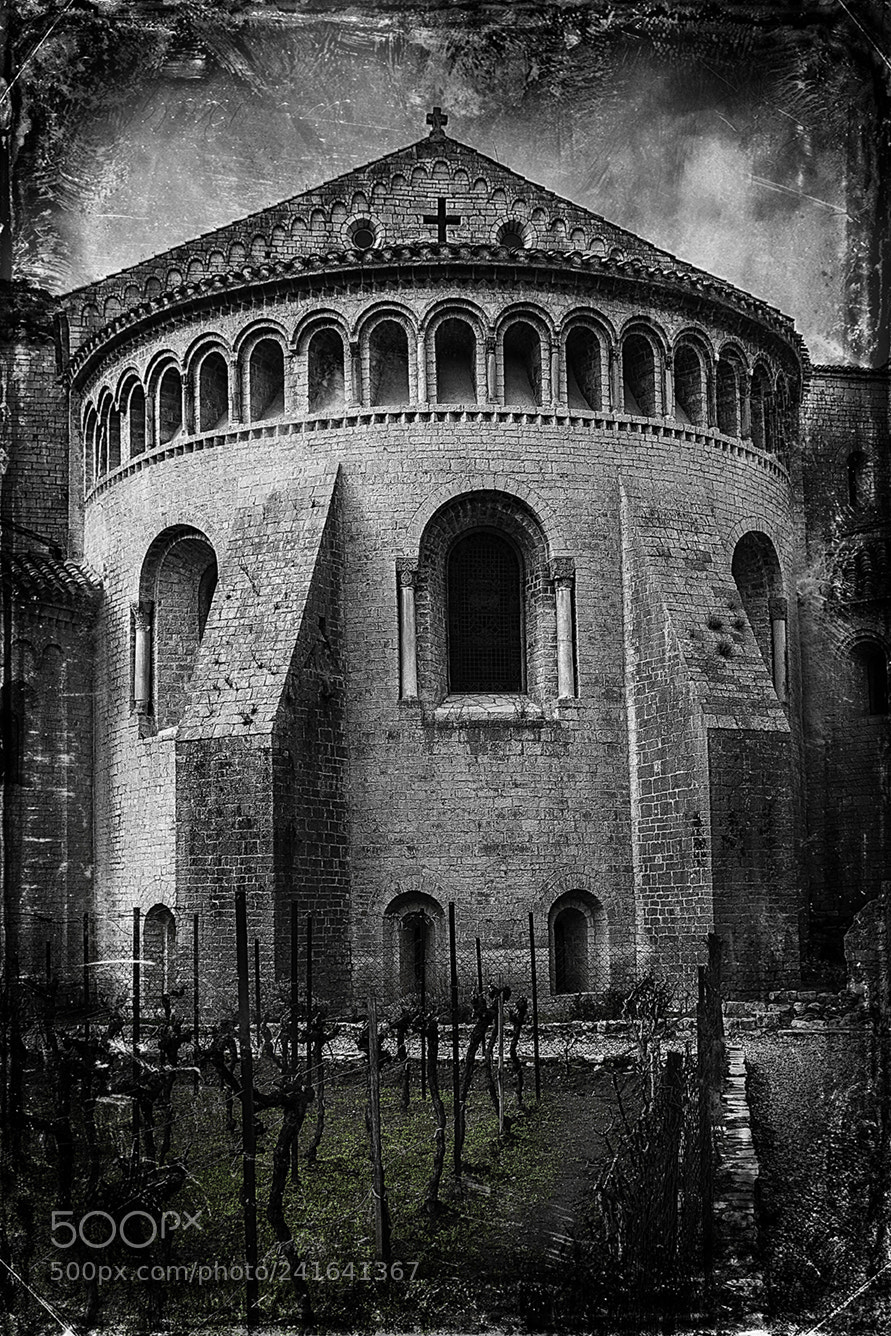 Nikon D5 sample photo. St guilhem le d photography