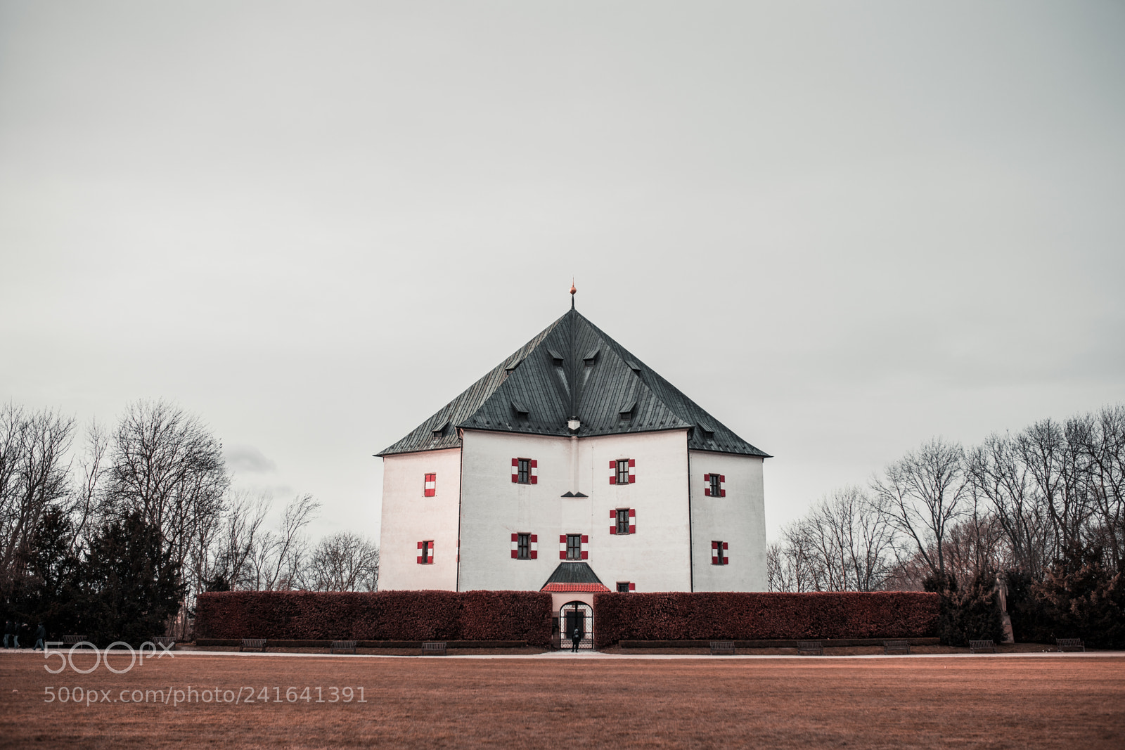 Canon EOS 6D Mark II sample photo. Velehradek hvezda photography