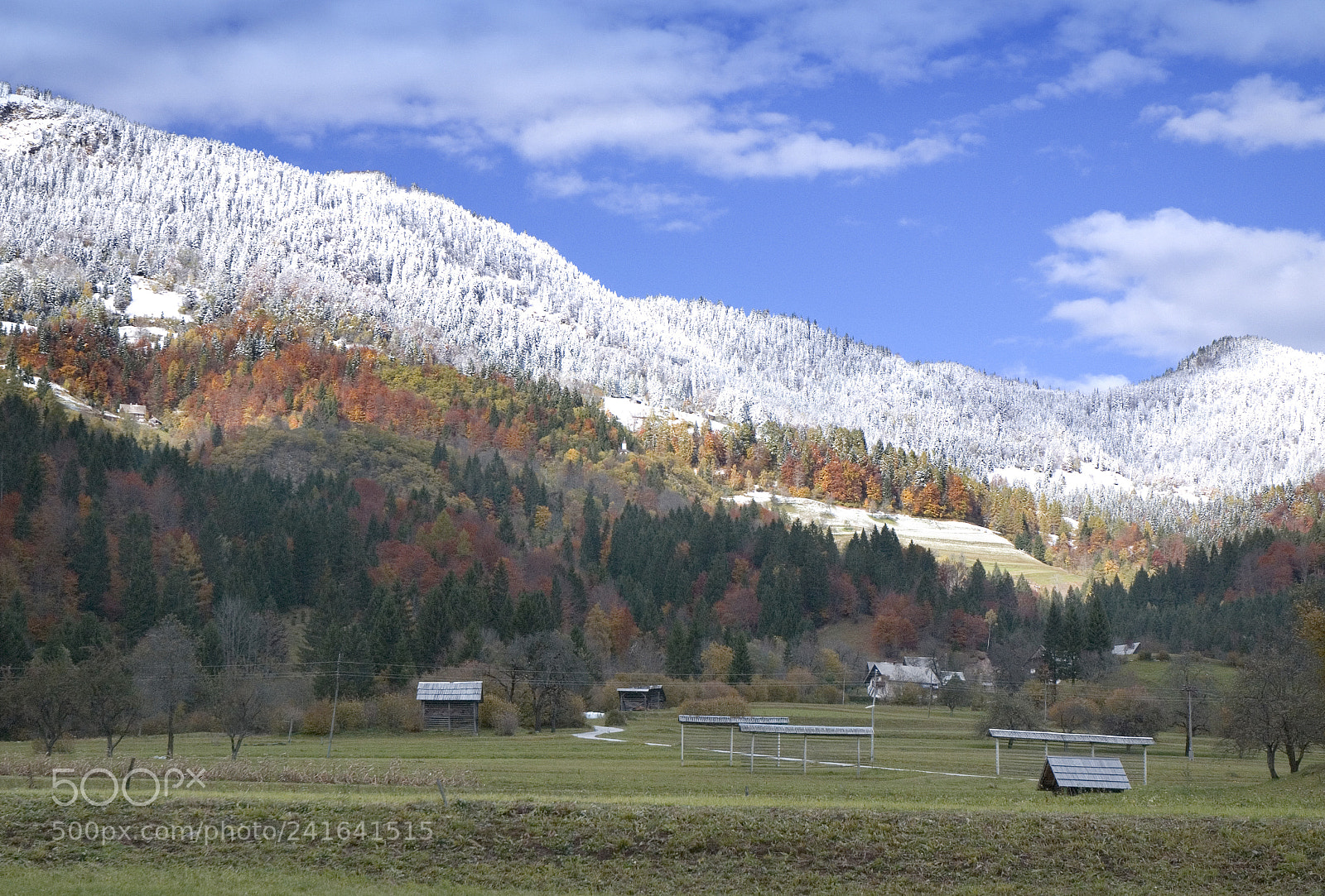 Nikon D80 sample photo. Early snow photography
