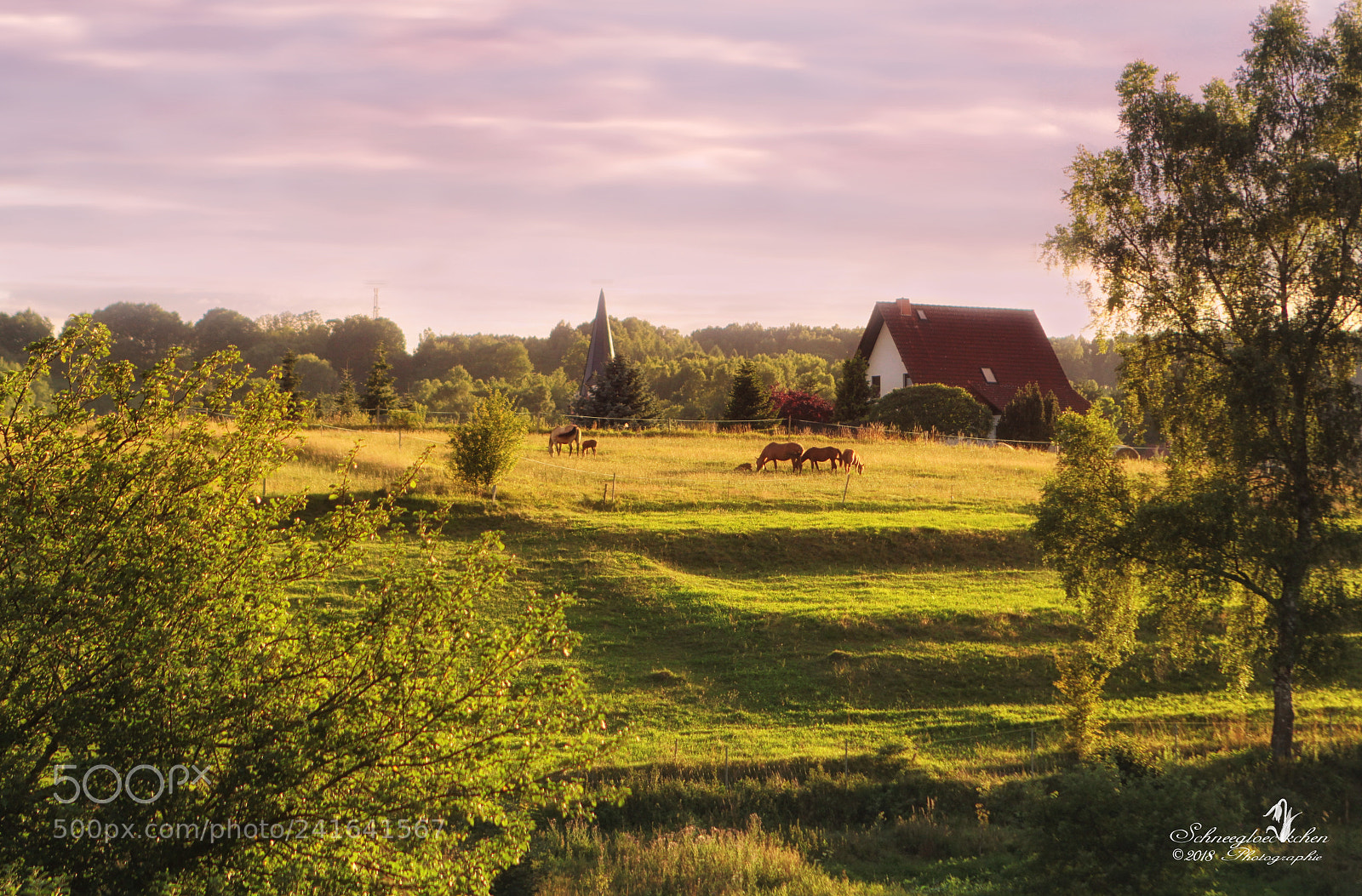 Canon EOS 60D sample photo. Christes photography