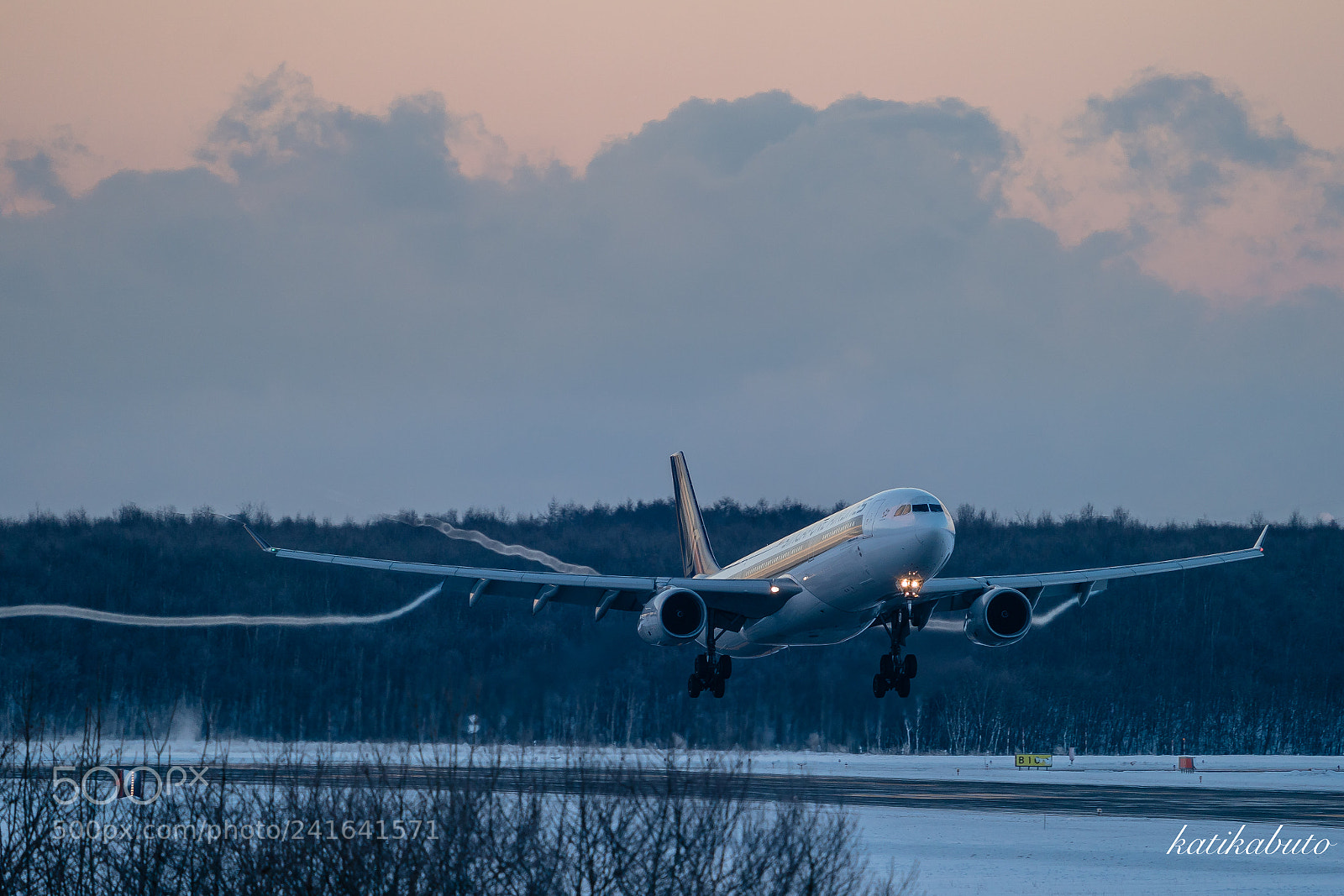 Sony a9 sample photo. Welcome to frozen island ! photography