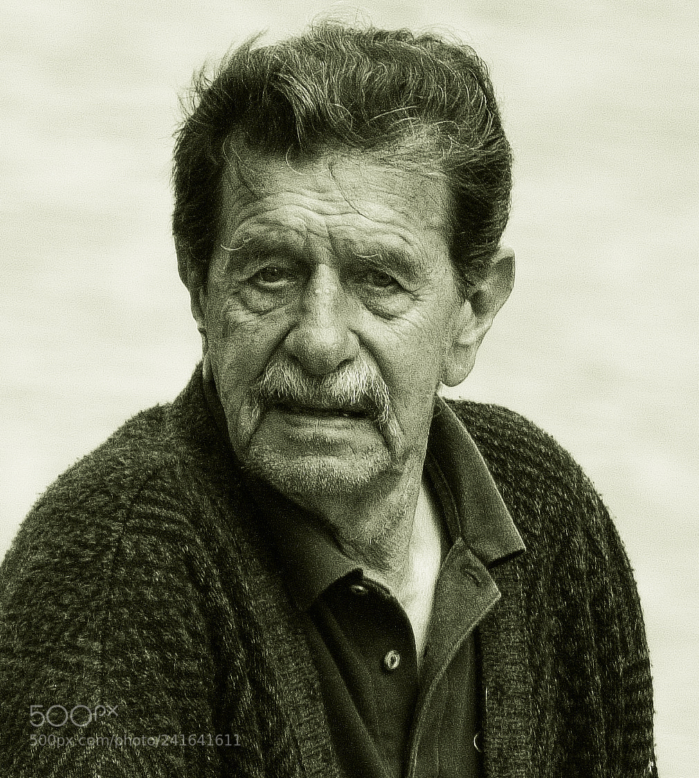 Nikon D80 sample photo. Janek snr photography