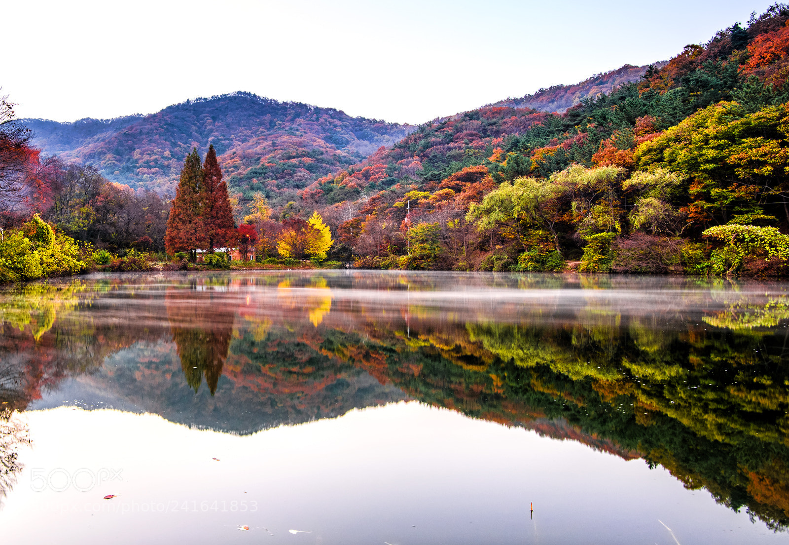 Nikon D810 sample photo. 송곡지 photography
