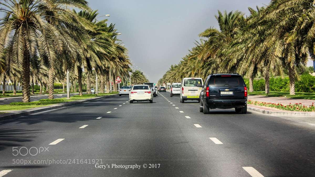 Canon EOS 450D (EOS Rebel XSi / EOS Kiss X2) sample photo. Dubai photography